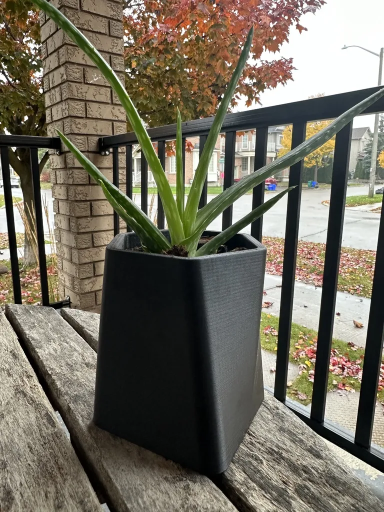 Chậu cây xương rồng GreenScapes phong cách hiện đại