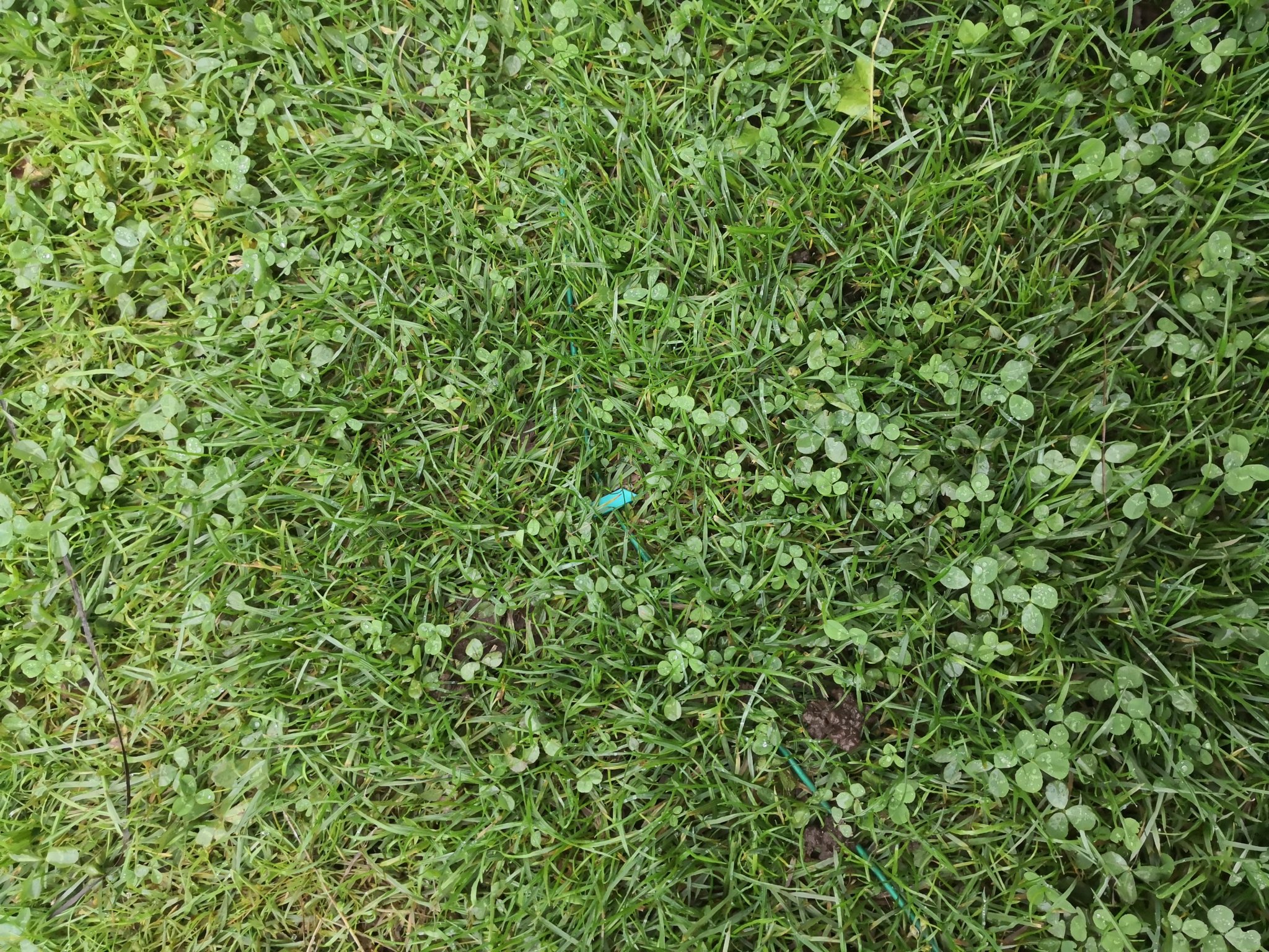 Giá đỡ dây ranh cho máy cắt cỏ robot Husqvarna