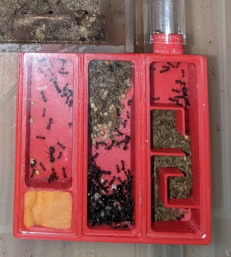 Tổ kiến cho kính hiển vi với thiết kế 3 phần