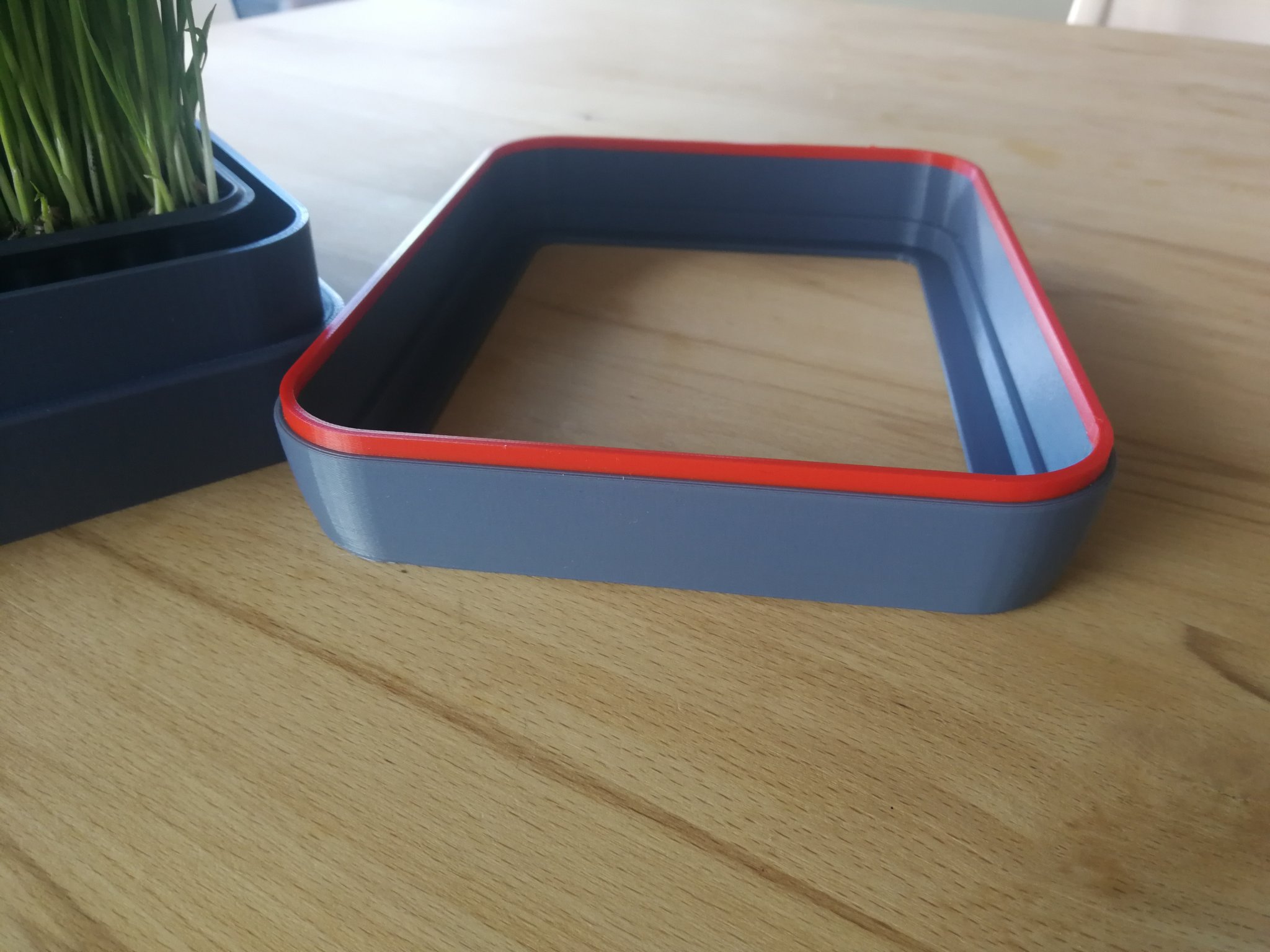 Chậu trồng cỏ cho mèo với thiết kế hình chữ nhật