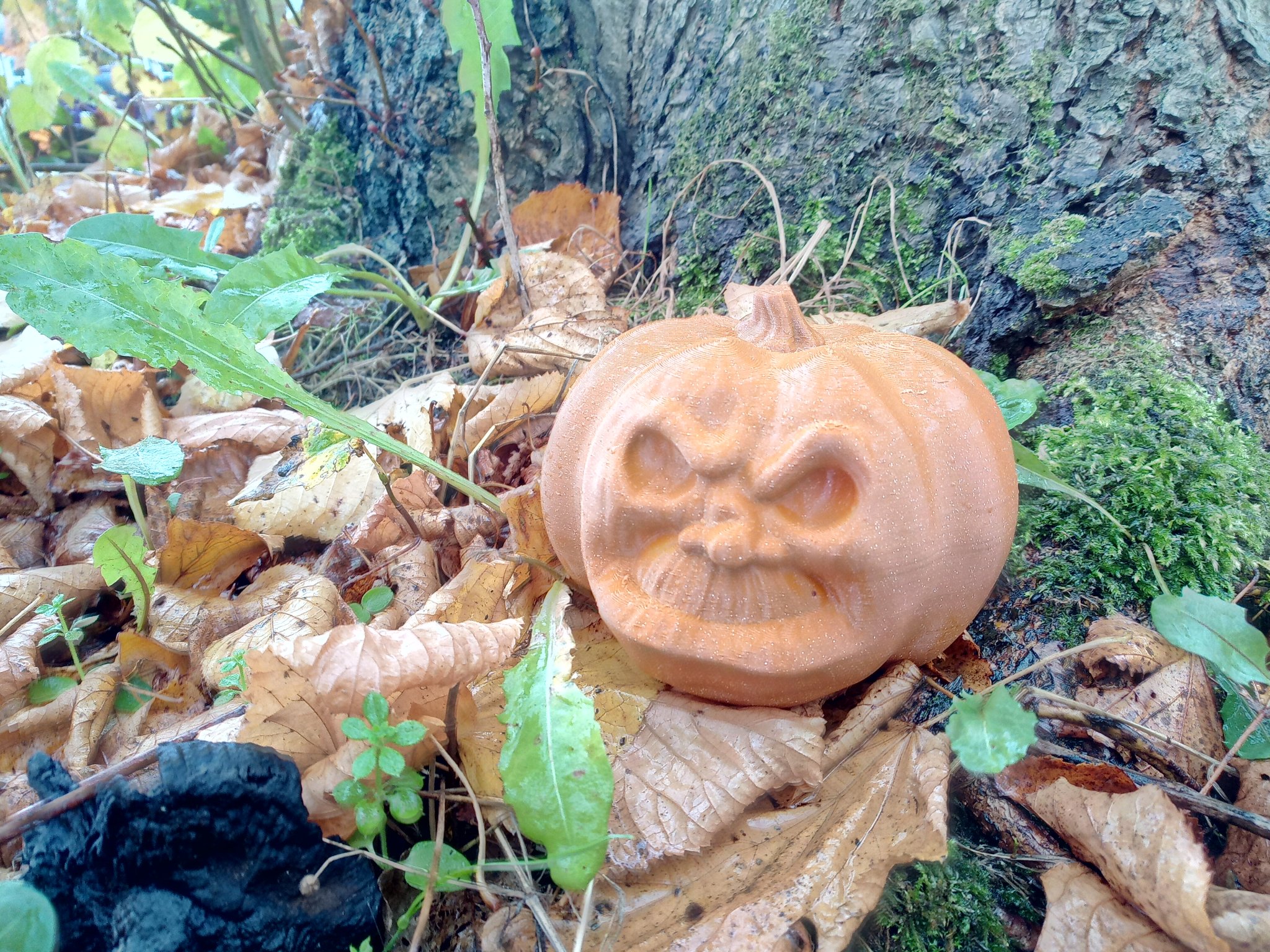 Bí ngô cau có cho trang trí Halloween