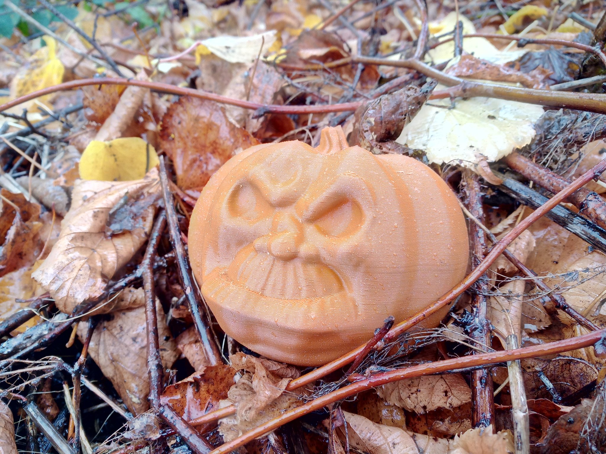 Bí ngô cau có cho trang trí Halloween