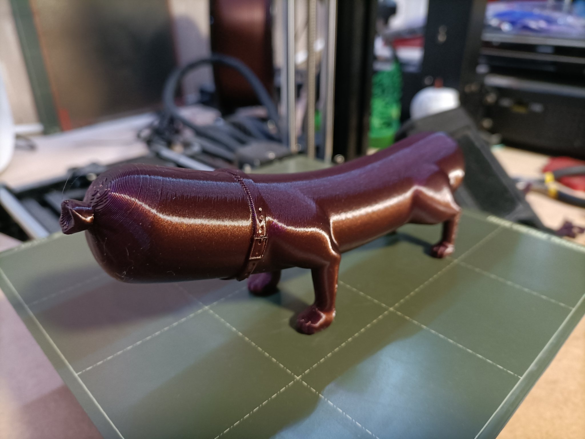 Chó hình xúc xích độc đáo DogSausage