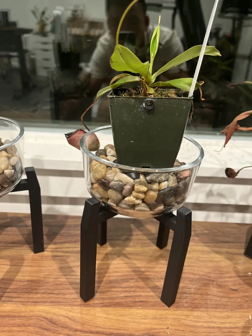 Giá đỡ cây cho bình pyrex 2 cốc