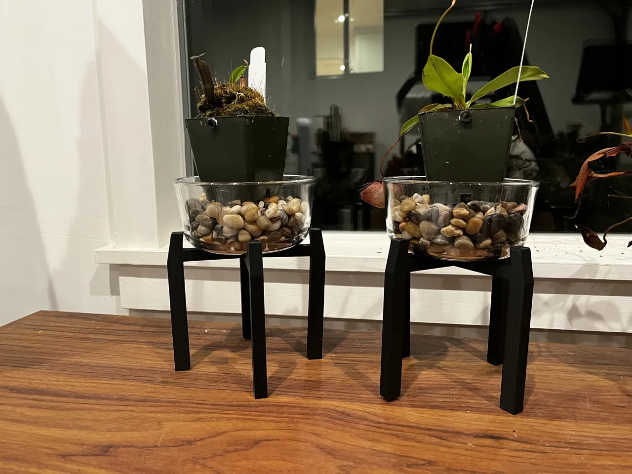 Giá đỡ cây cho bình pyrex 2 cốc