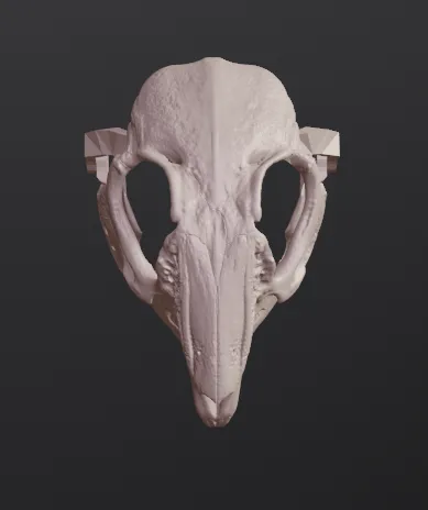 Mặt nạ sọ thỏ phong cách RISD Nature Lab