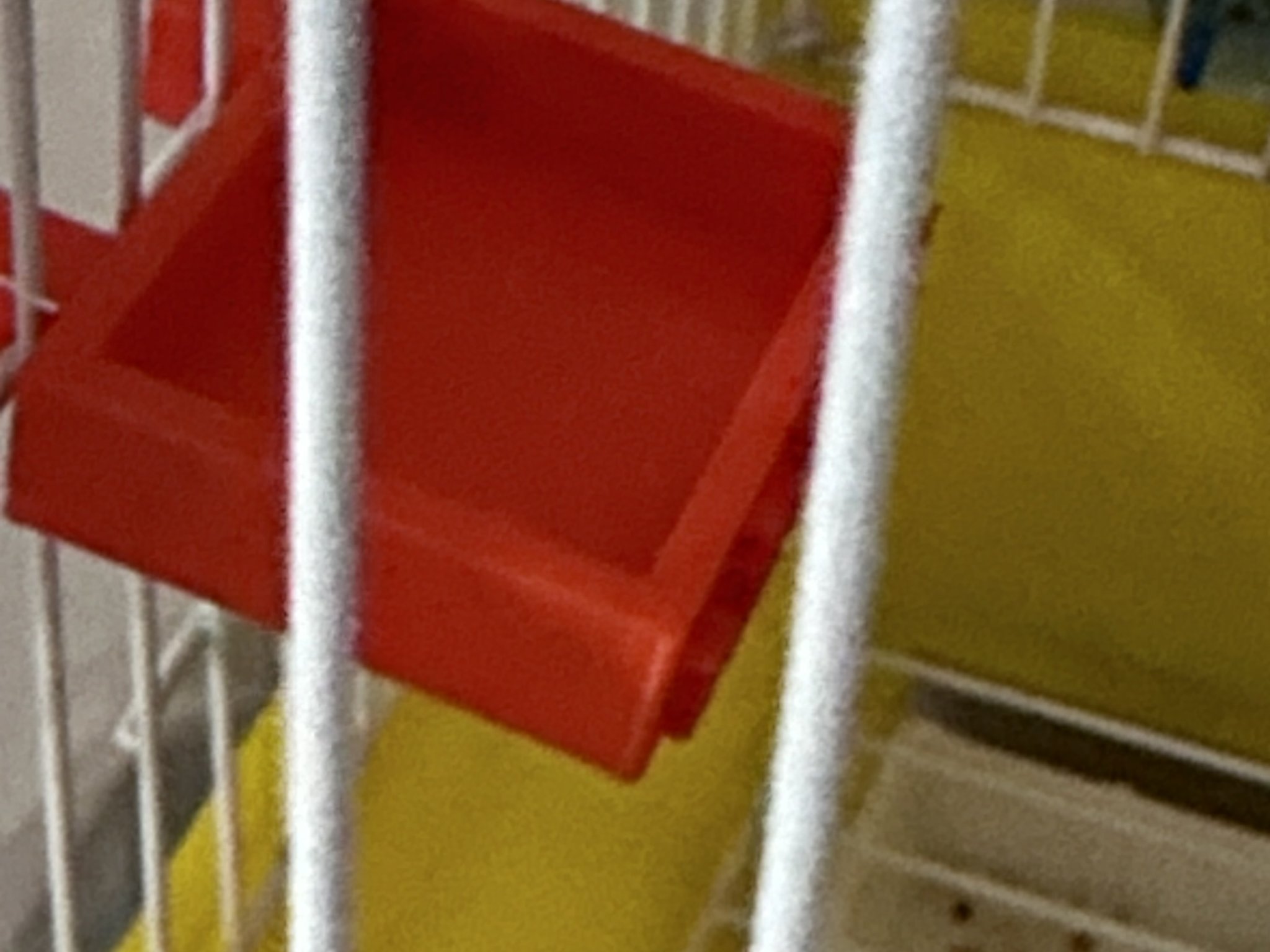 Máy cho ăn và uống nước cho chim cảnh