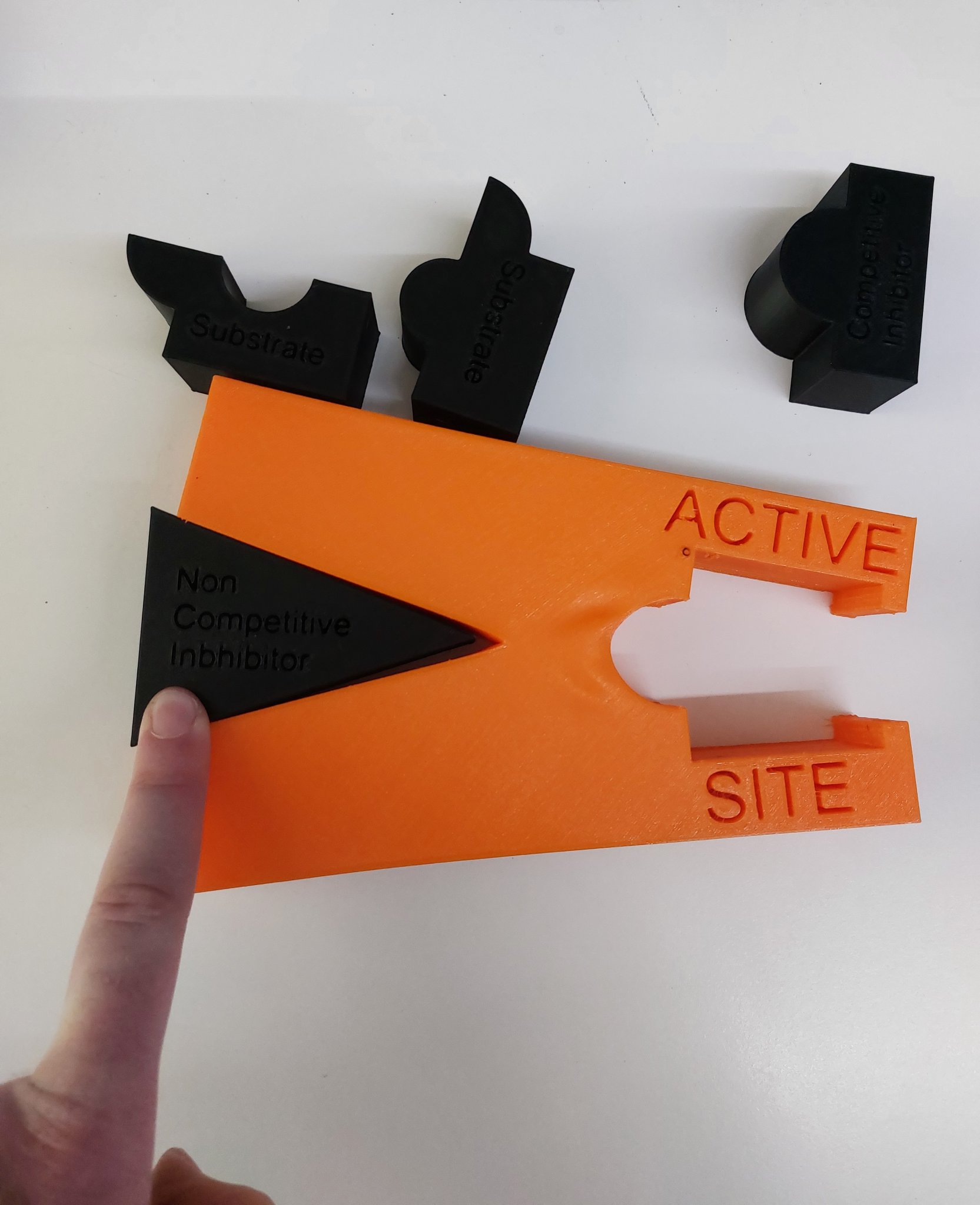 Mô hình minh họa sự ức chế hành động của enzyme