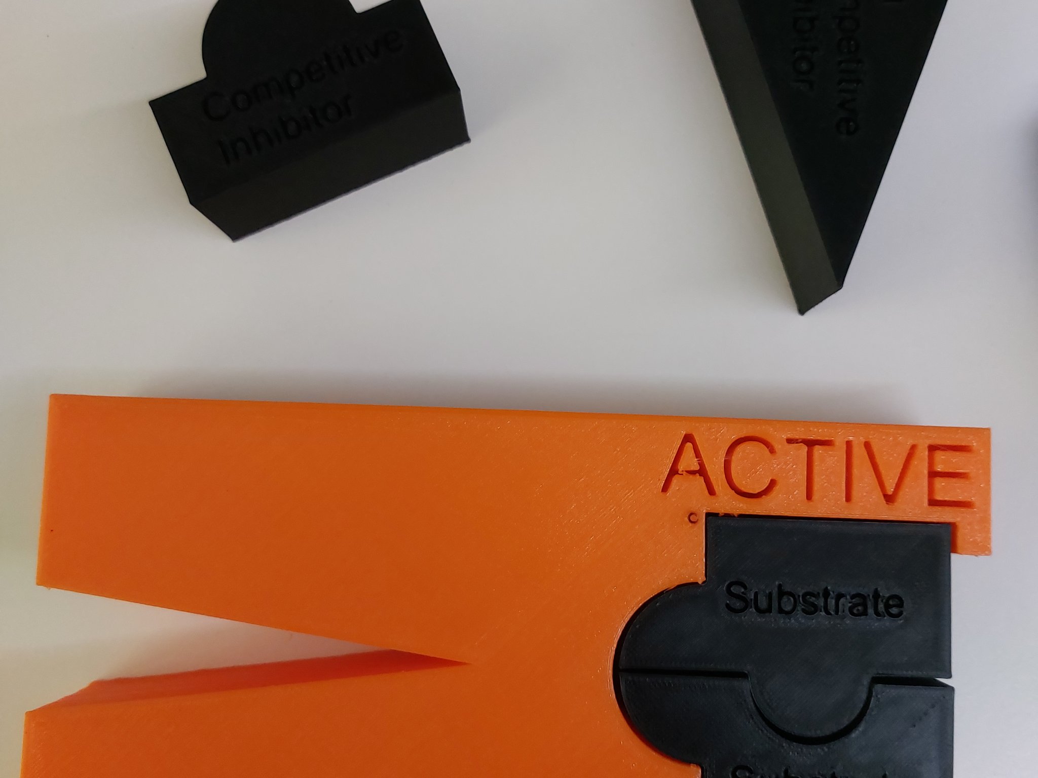 Mô hình minh họa sự ức chế hành động của enzyme