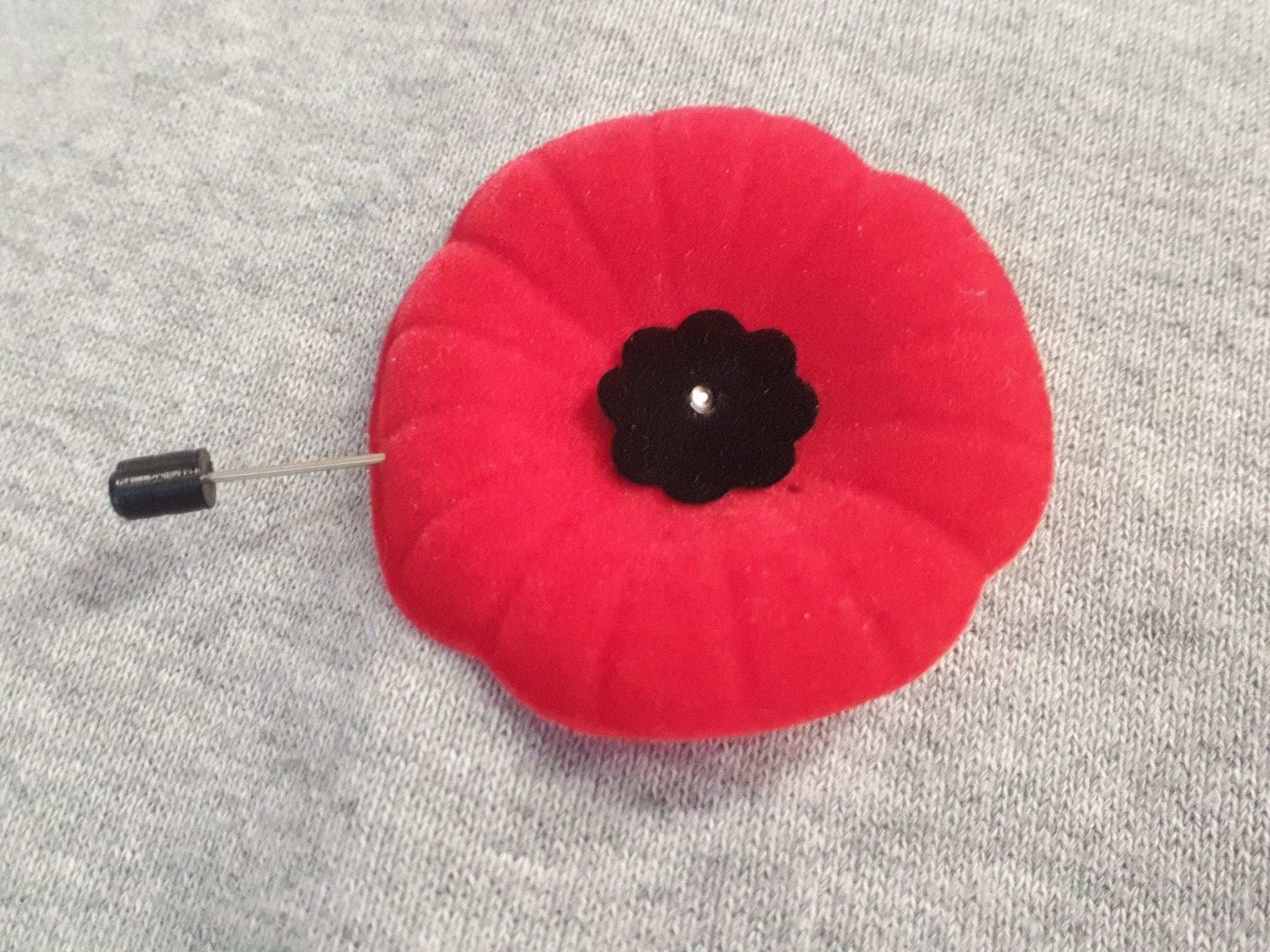 Bảo vệ ghim hoa anh túc cho Ngày Tưởng niệm