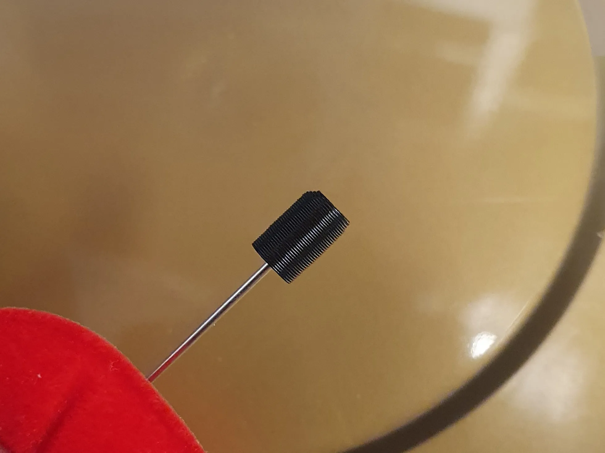 Bảo vệ ghim hoa anh túc cho Ngày Tưởng niệm