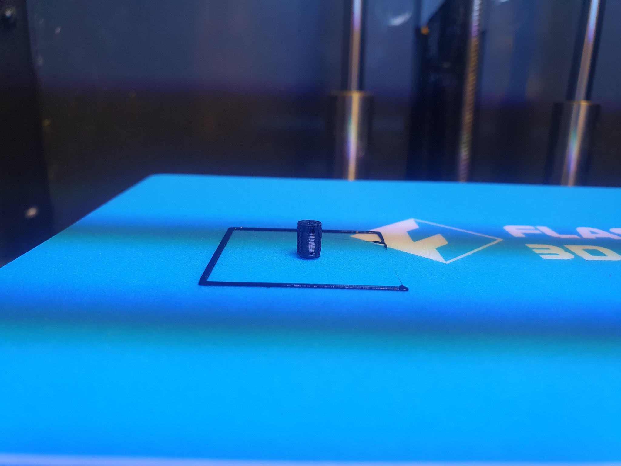 Bảo vệ ghim hoa anh túc cho Ngày Tưởng niệm