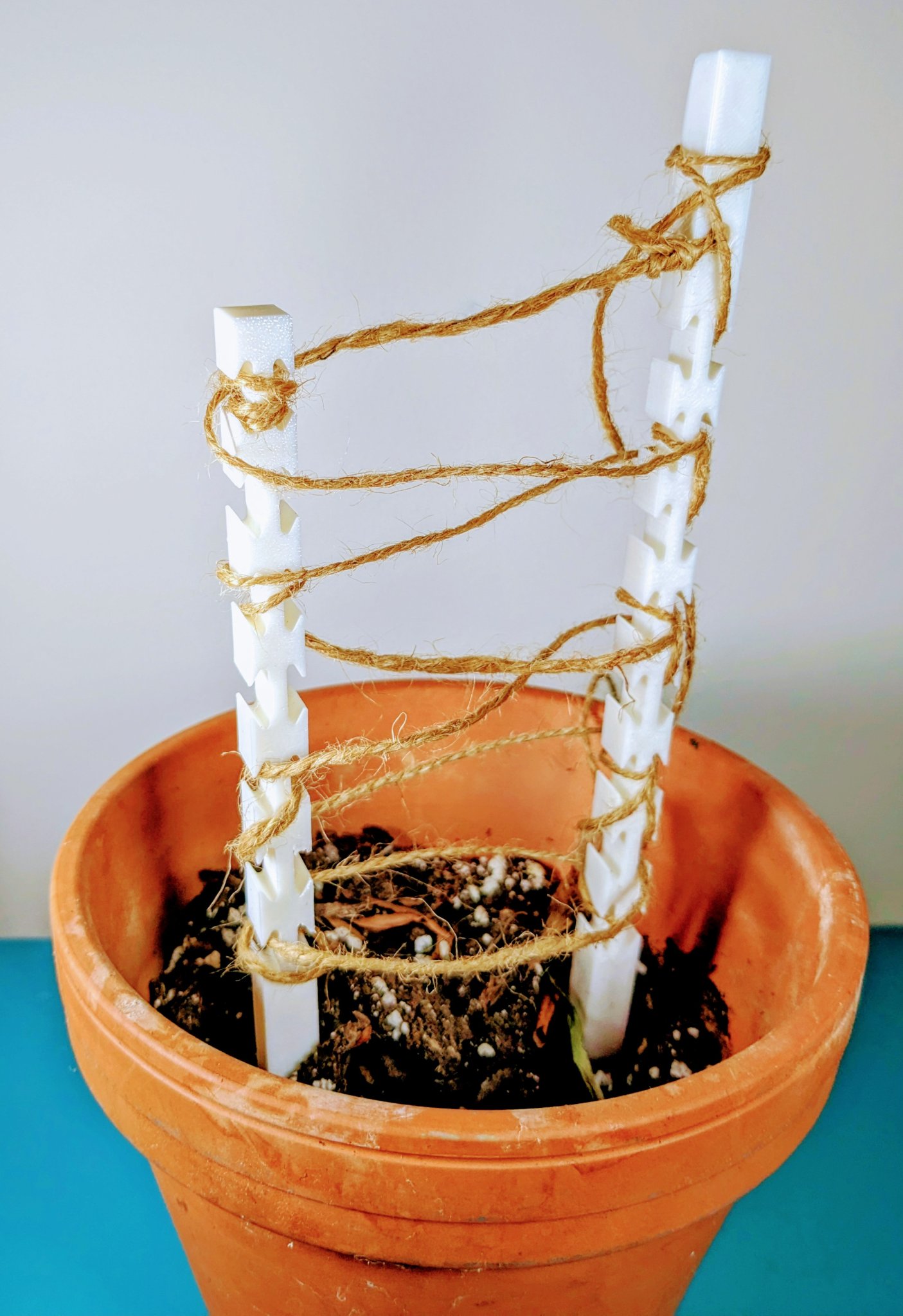 Cọc làm vườn để tạo giàn cho cây leo