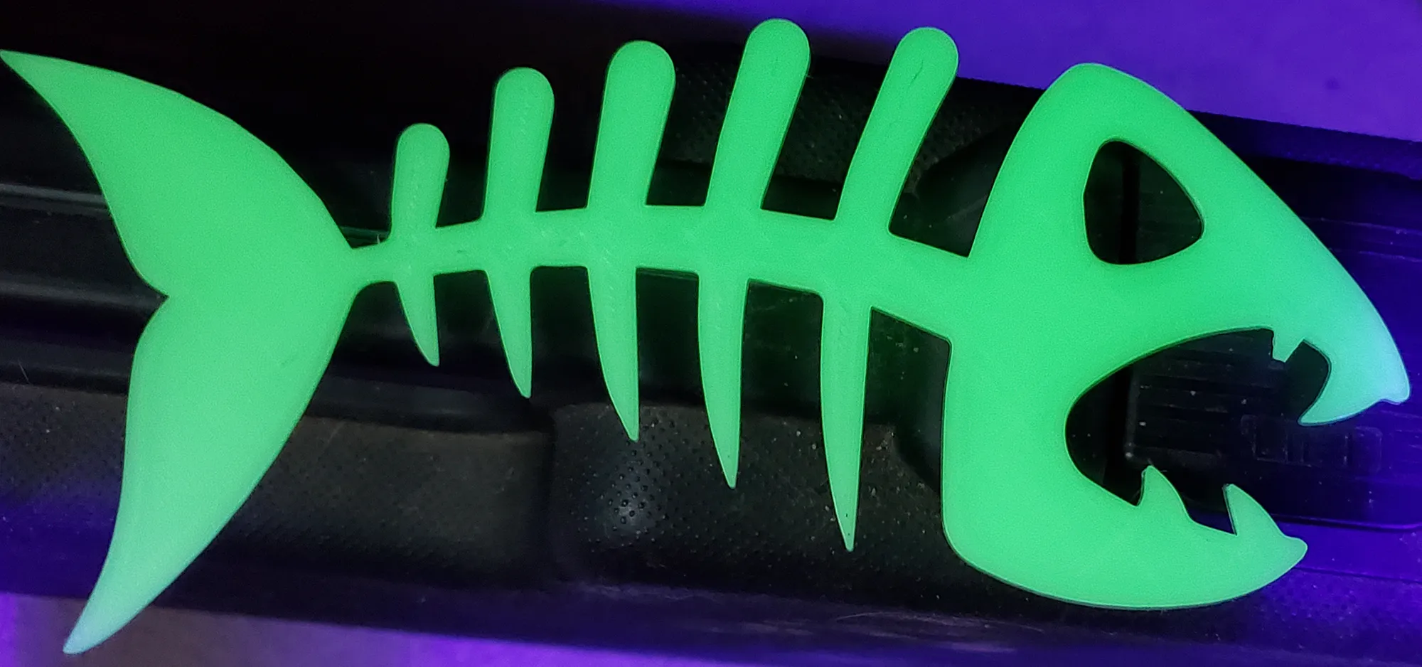 Cá xương cho chủ đề Halloween ánh sáng đen