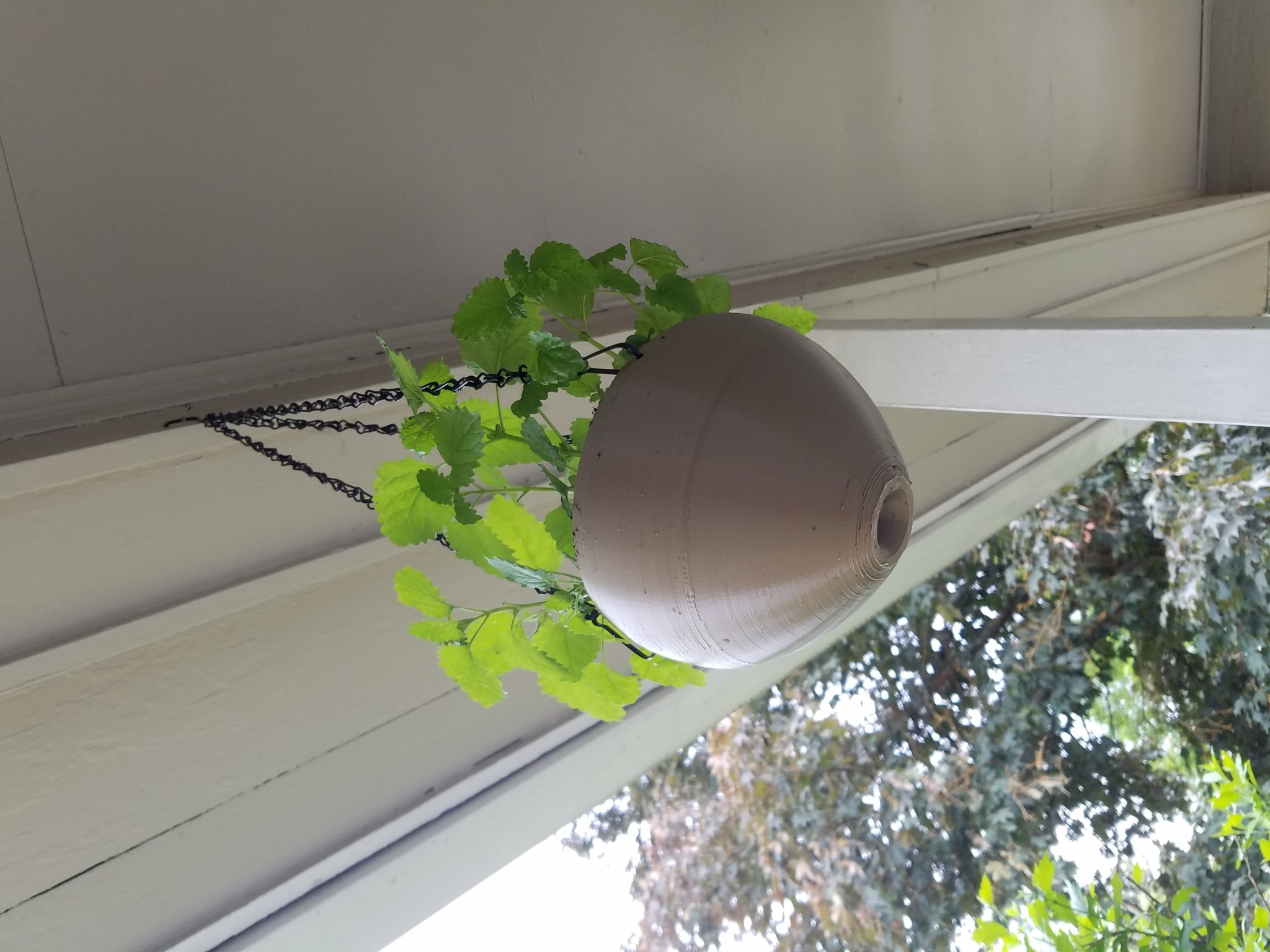 Chậu treo có bể chứa nước chống tràn