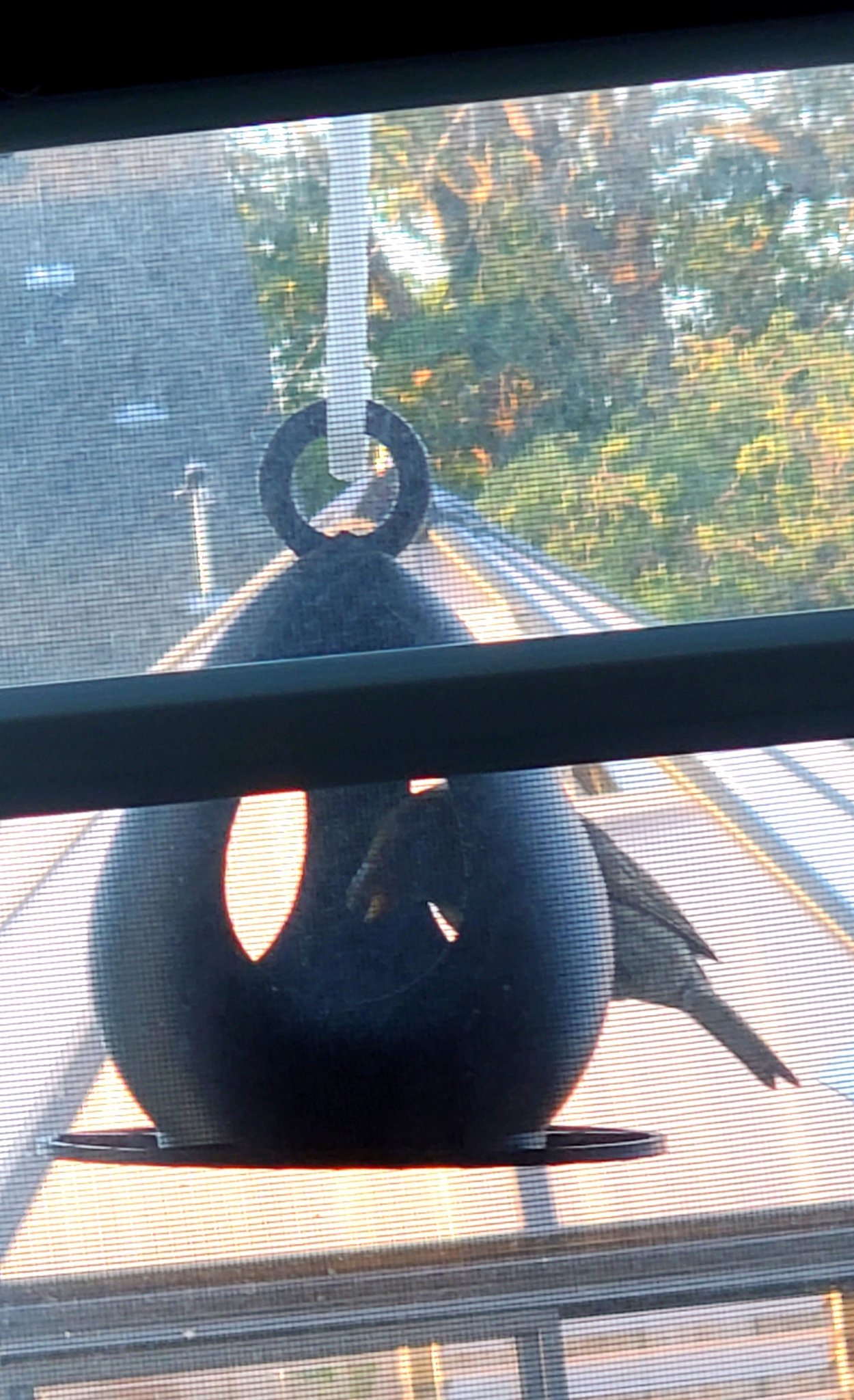 Máng ăn cho chim in dễ dàng và bền đẹp