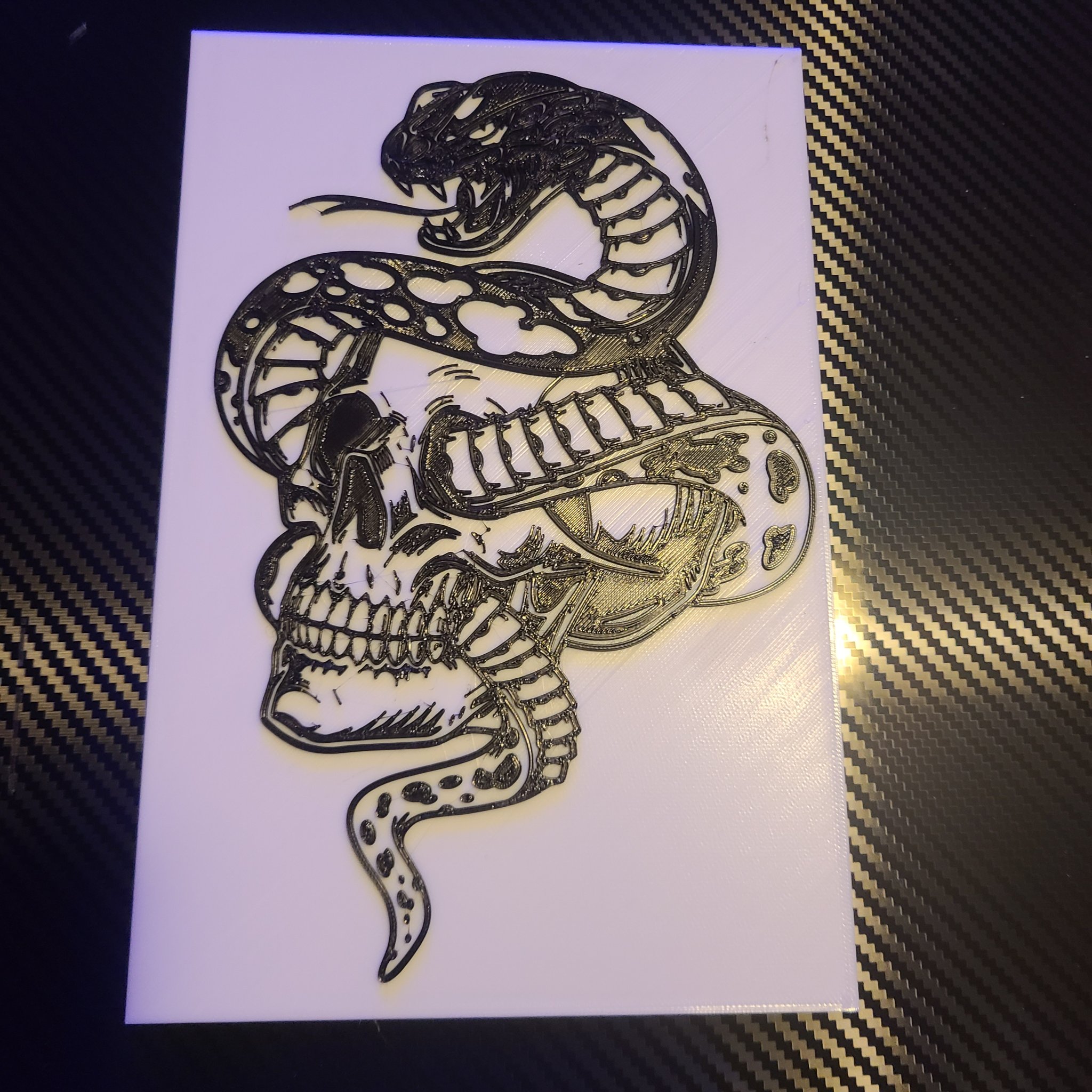 Rắn quấn quanh hộp sọ nghệ thuật độc đáo