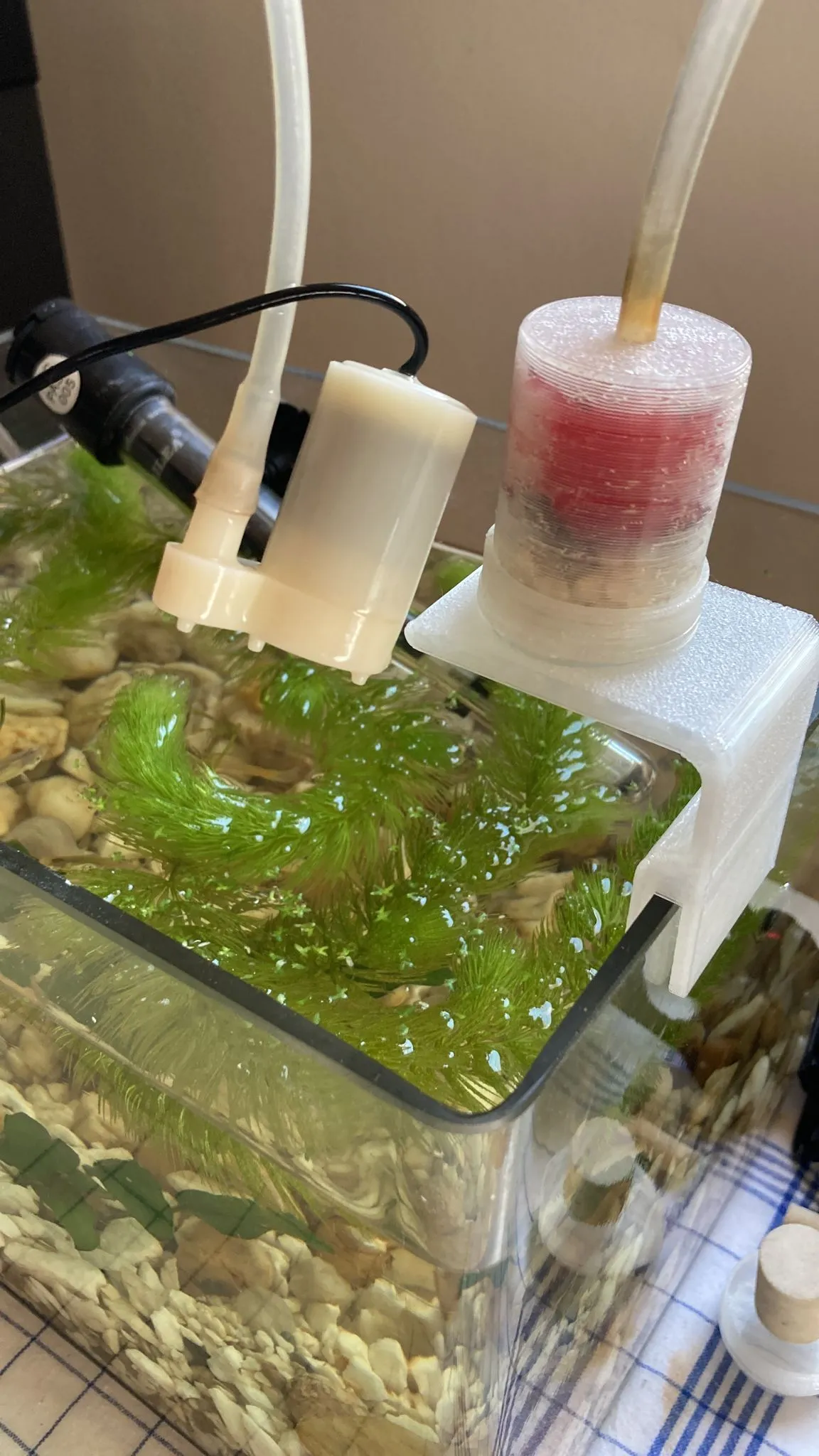 Bộ lọc đơn giản cho bể cá kết nối với bơm nhỏ