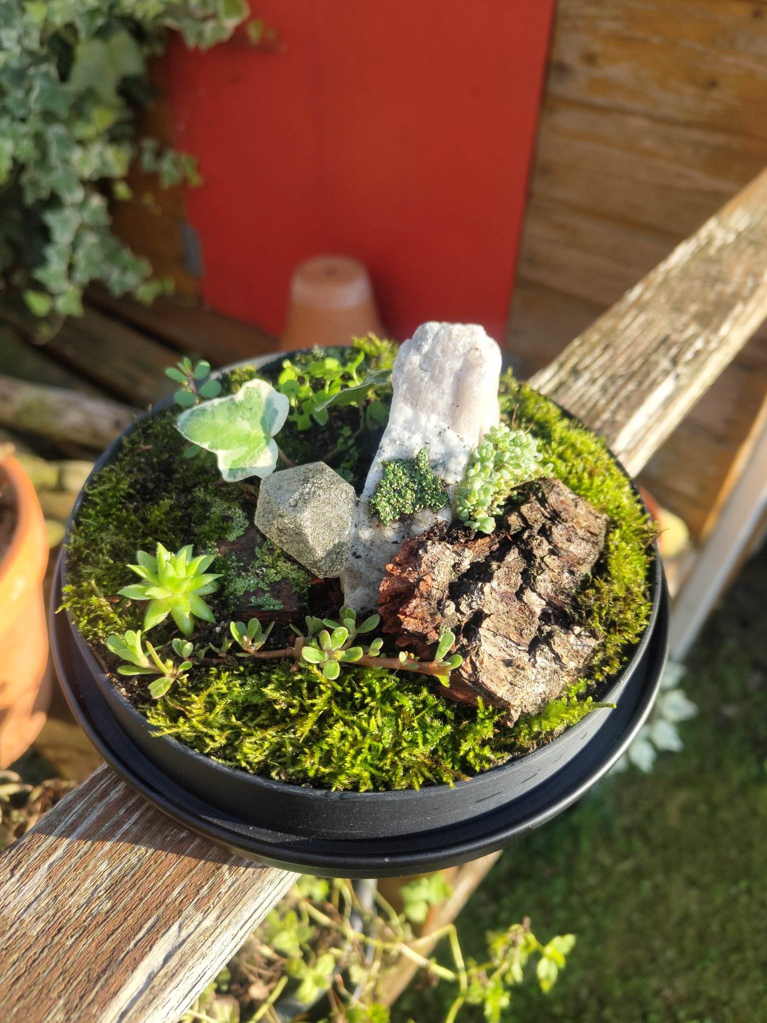 Terrarium nhỏ từ kính dome IKEA và hũ Nutella