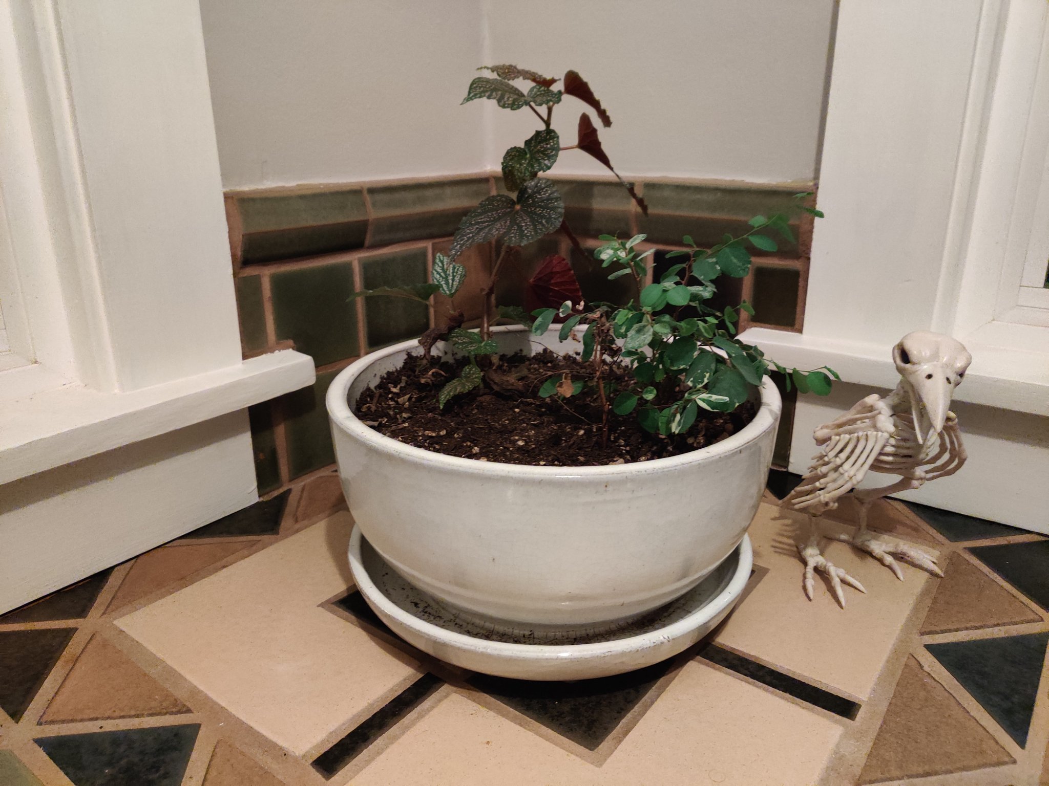 Giá đỡ chậu cây đơn giản với thiết kế thông thoáng