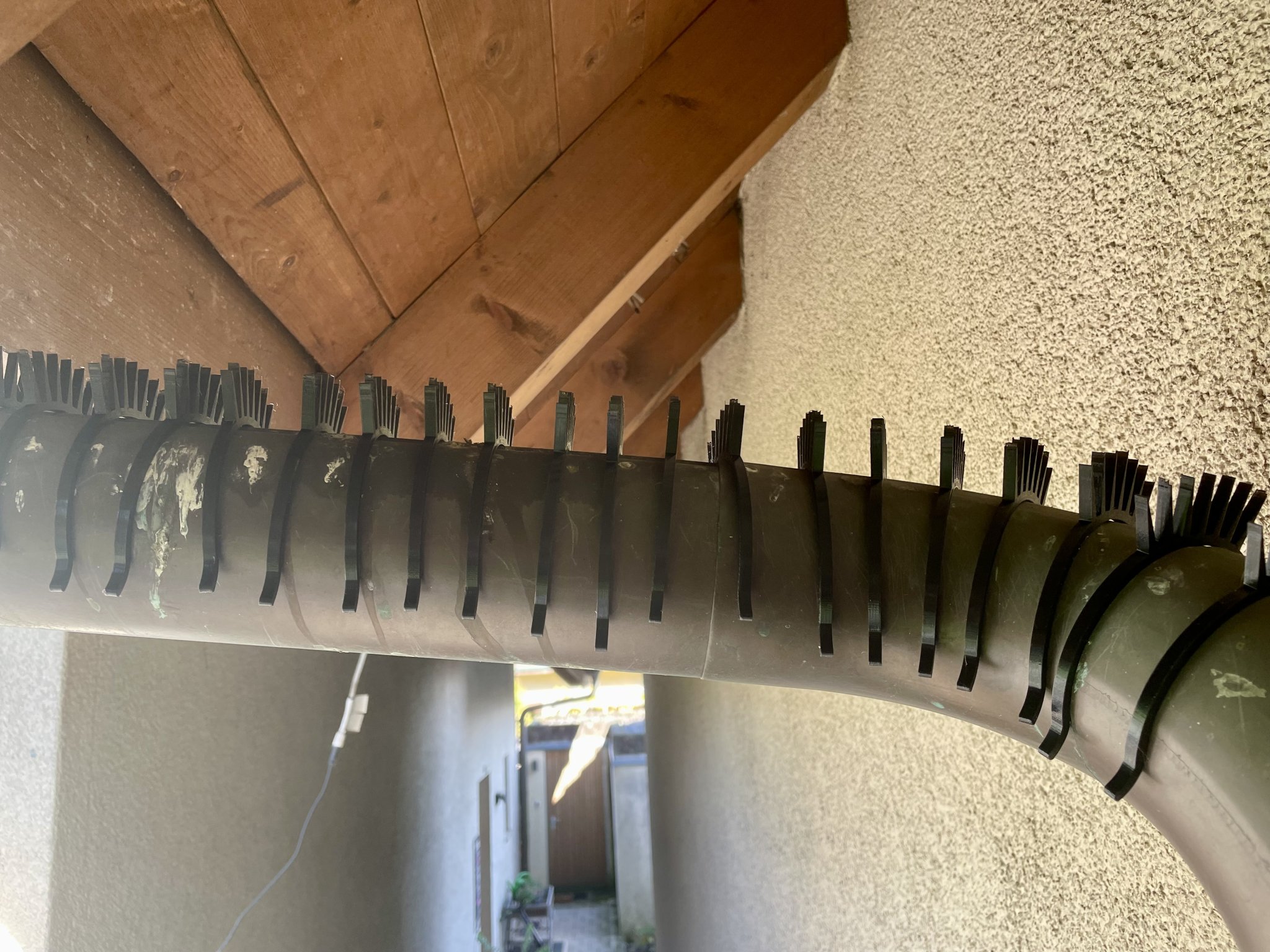 Gai chống chim bồ câu cho ống thoát nước