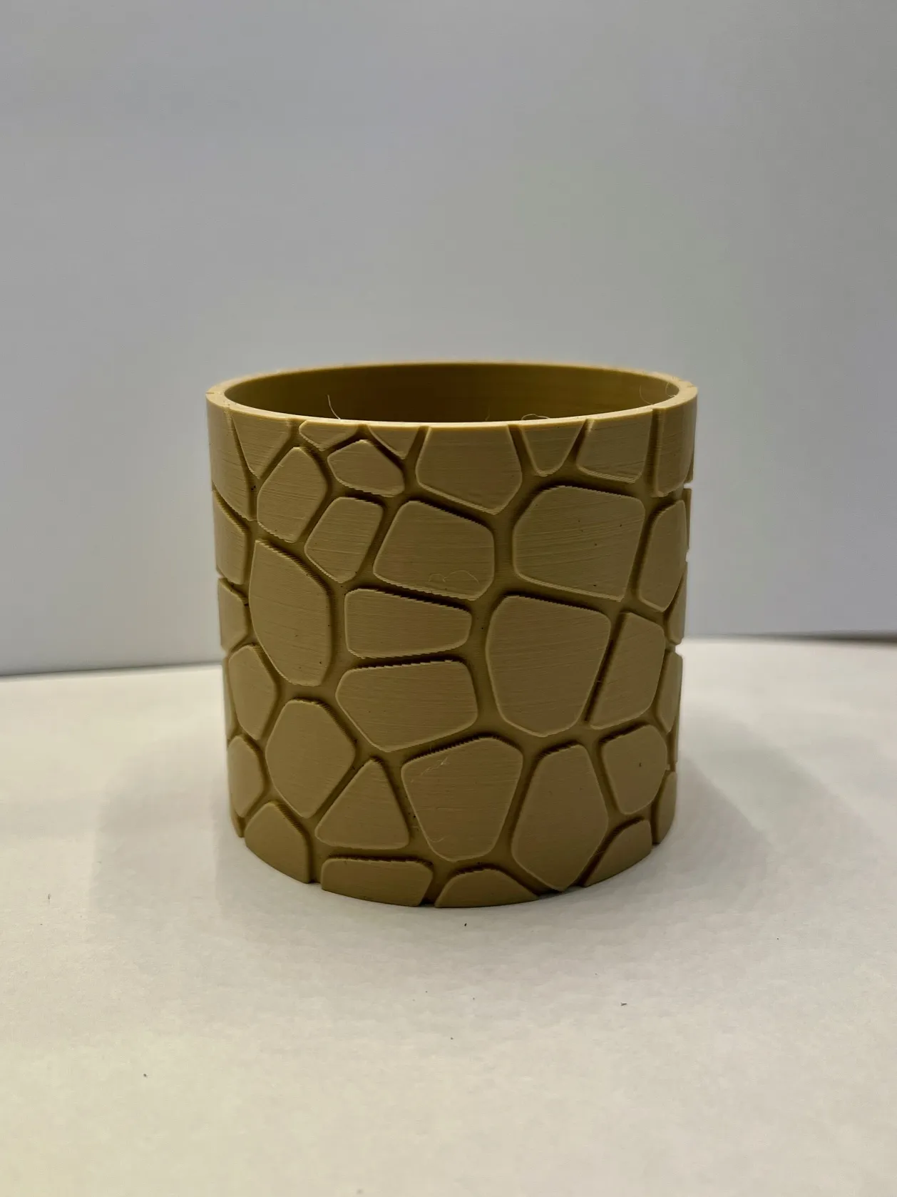 Chậu cây Voronoi cho xương rồng và cây mọng nước