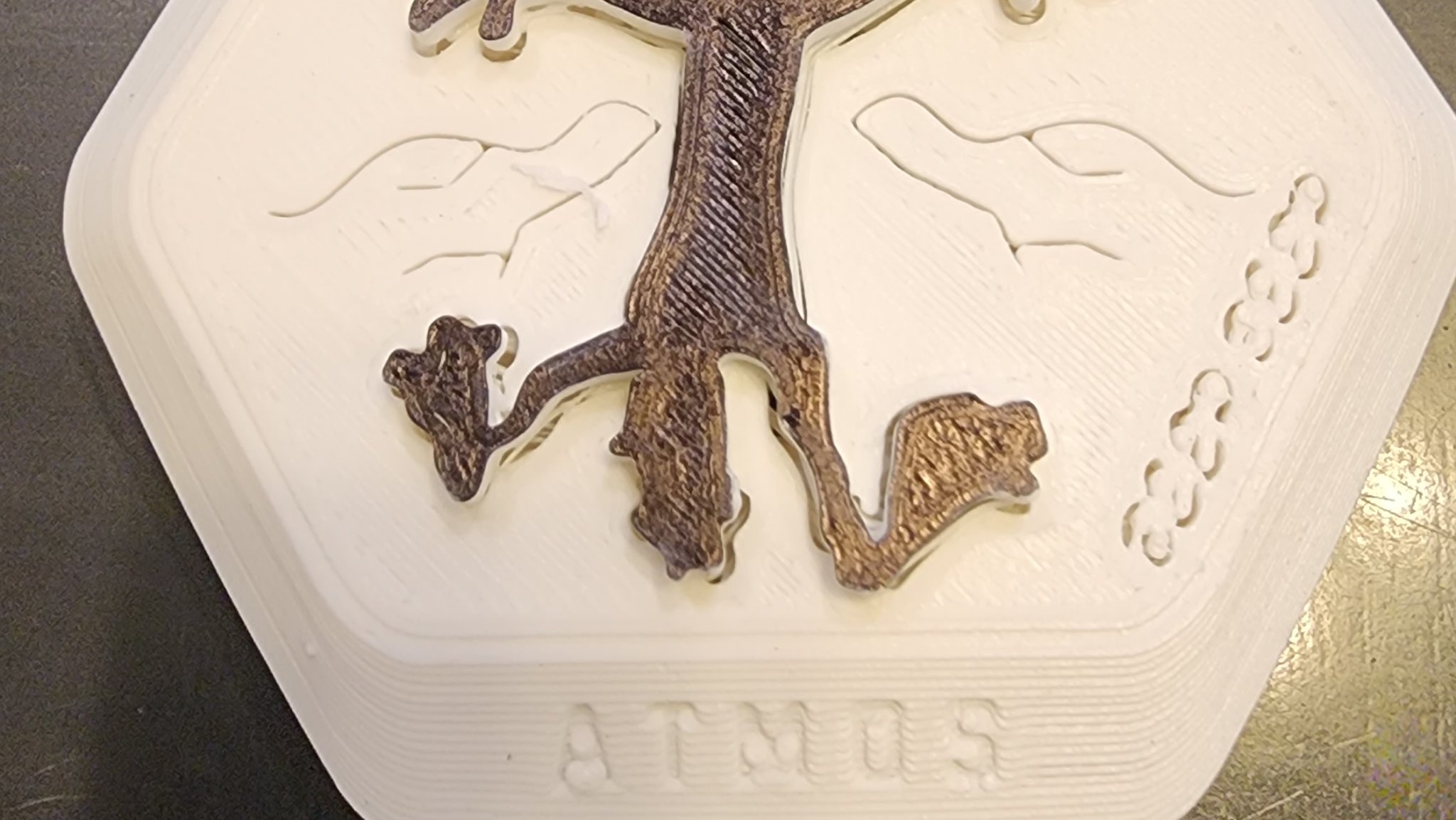 Wile E Coyote va chạm với biểu tượng MasterLiquid Atmos EVO