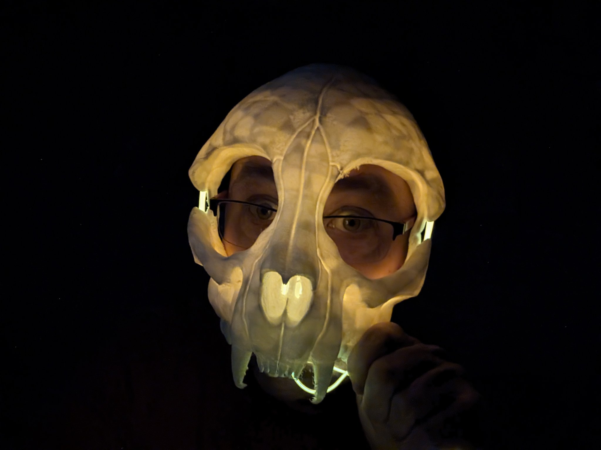 Mặt nạ đầu lâu mèo phiên bản dây EL