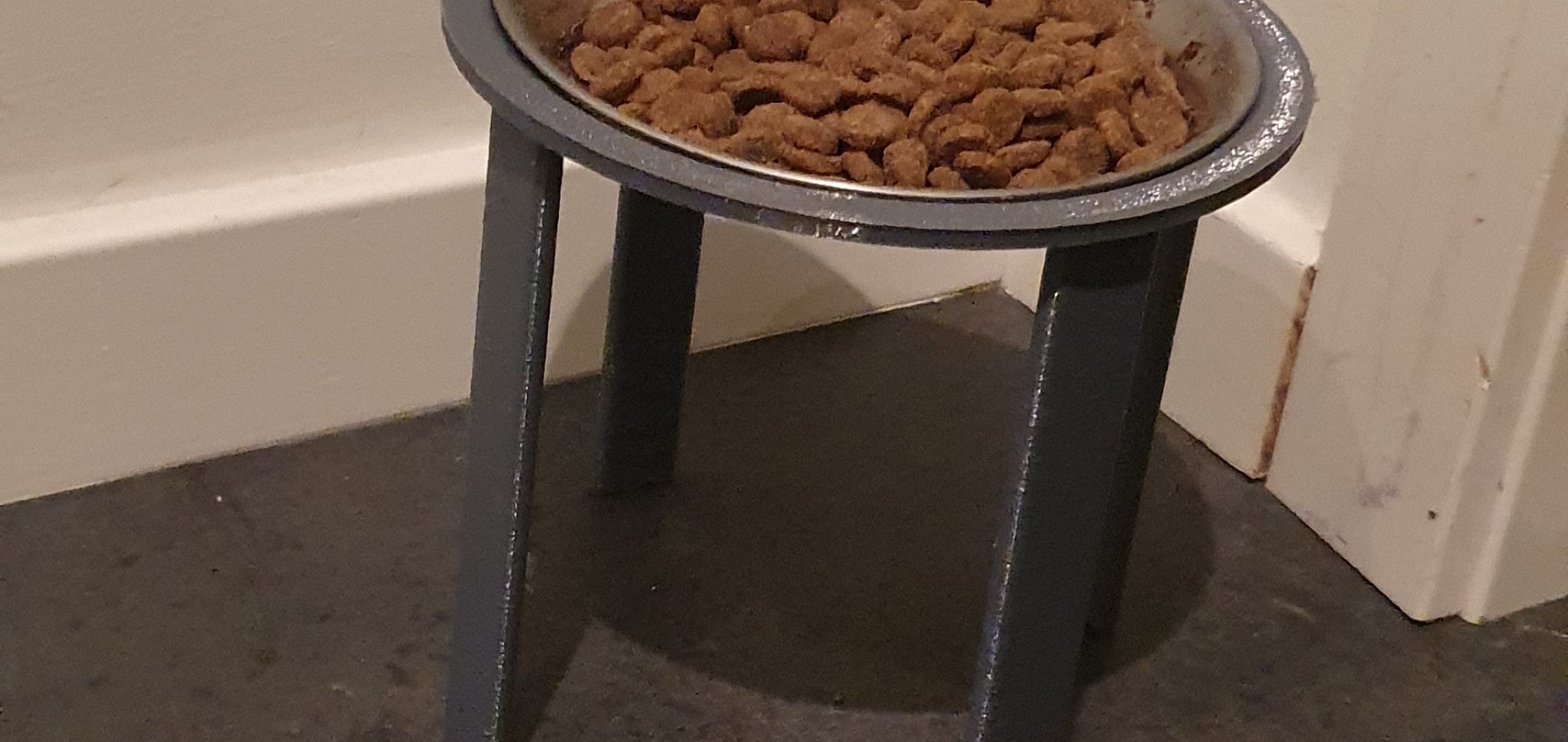 Máy cho mèo phiên bản 2 cải tiến