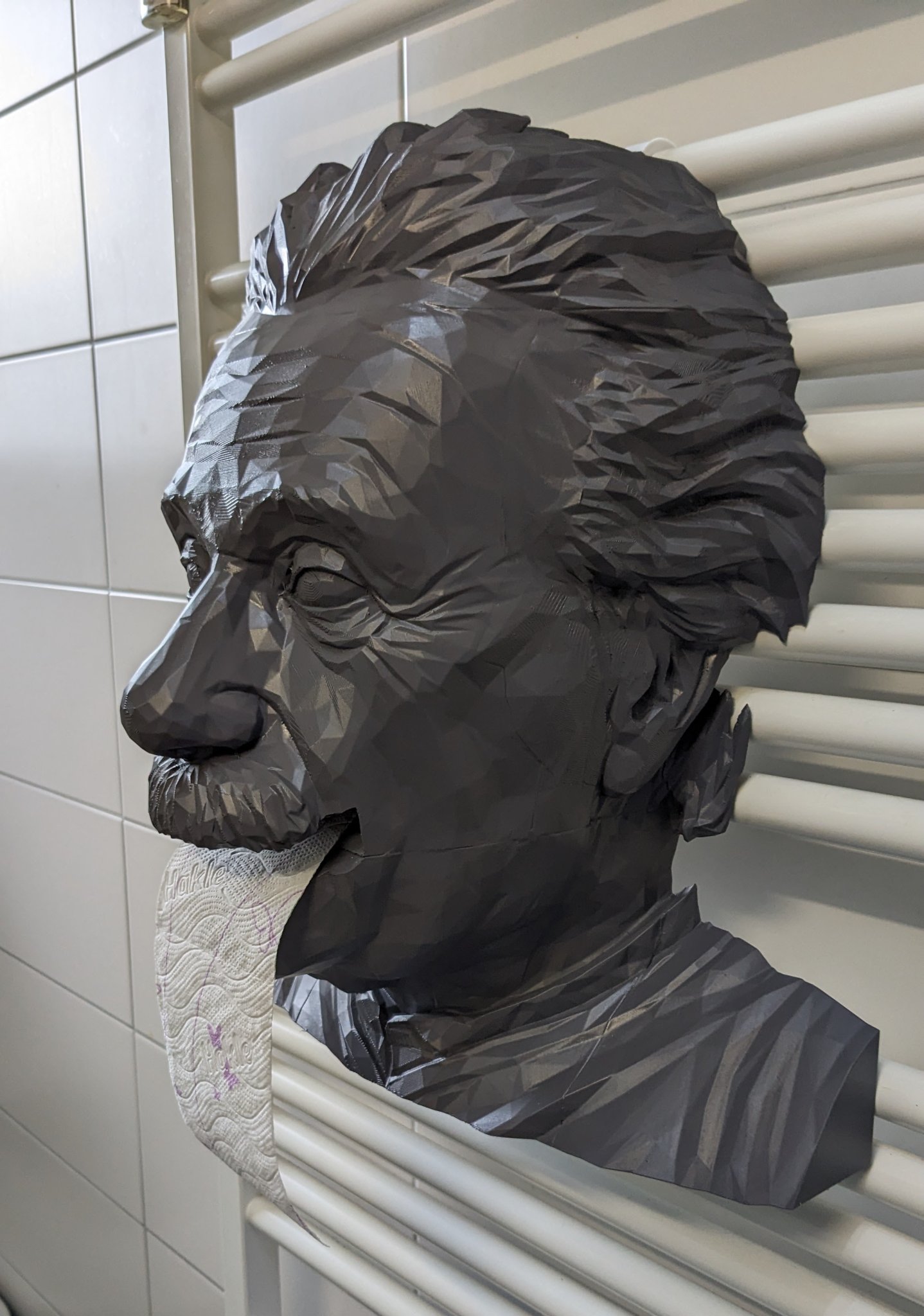 Giá đỡ cuộn giấy vệ sinh hình tượng Albert Einstein