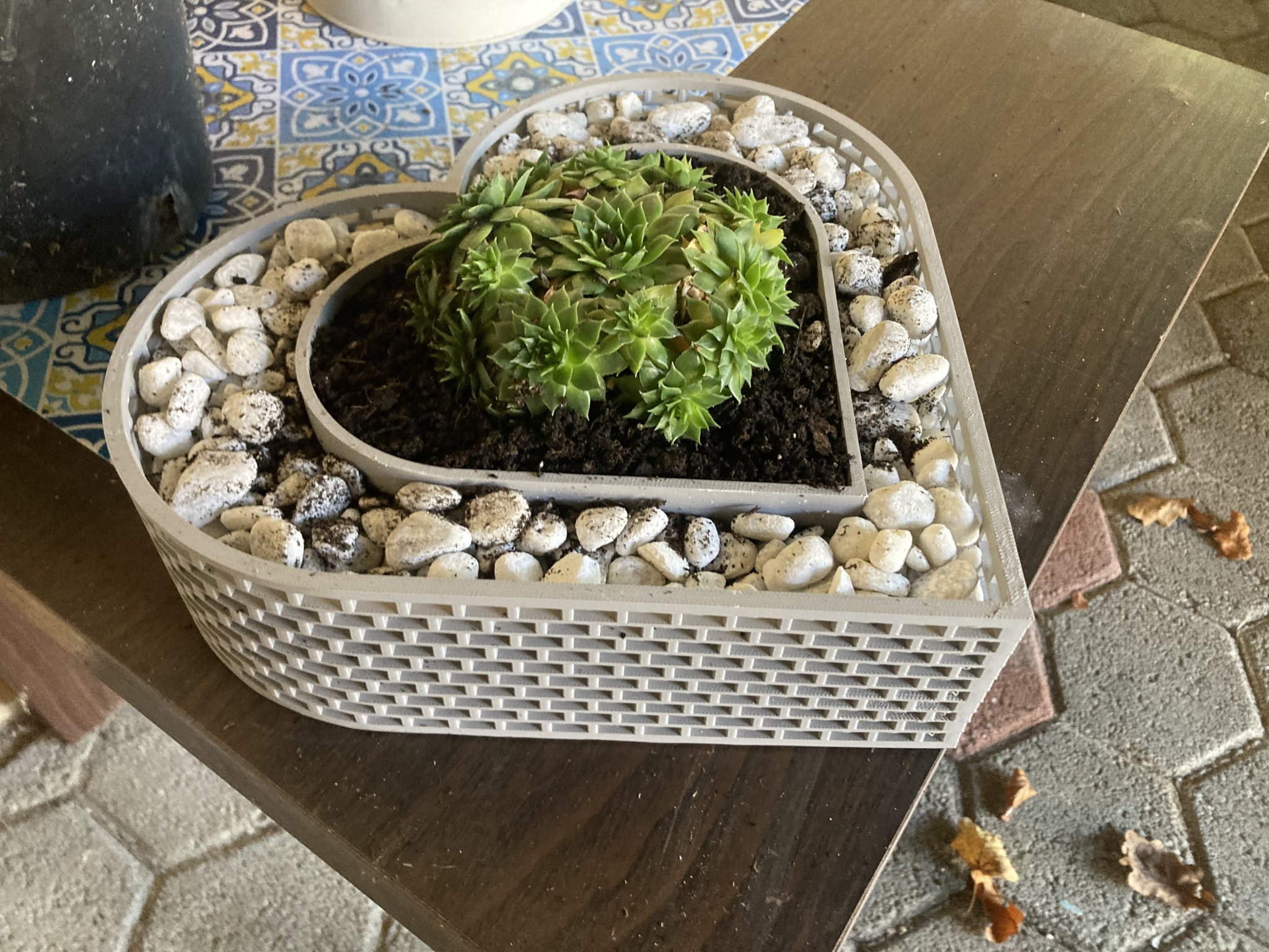 Chậu cây hình trái tim cho cây succulent