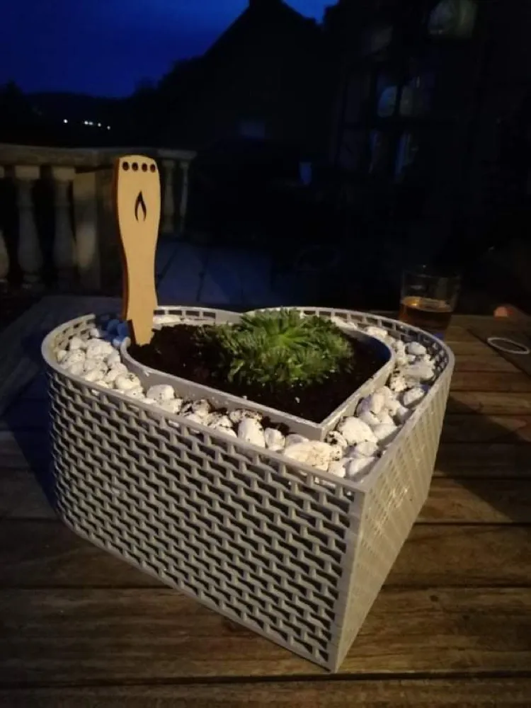 Chậu cây hình trái tim cho cây succulent