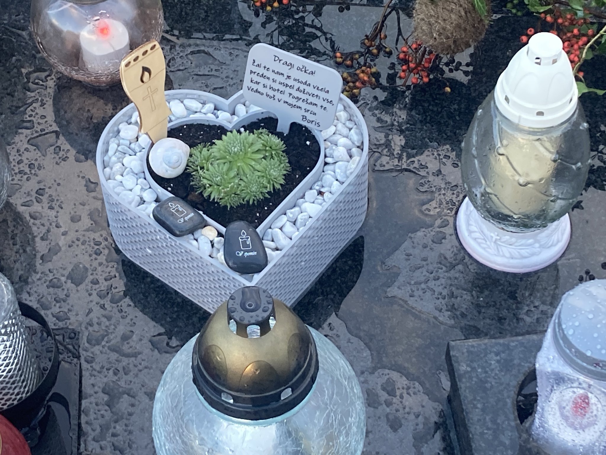 Chậu cây hình trái tim cho cây succulent