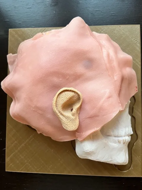 Mô hình y tế mô phỏng quy trình khoan burr