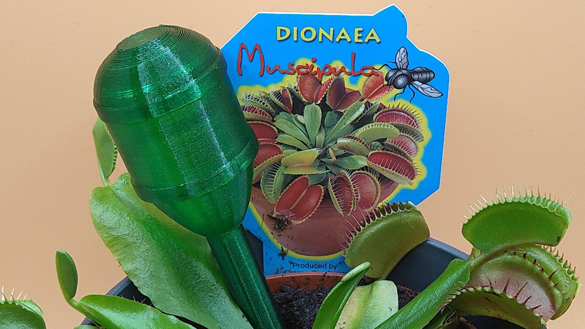 Thùng nước mini cho cây trồng trong nhà