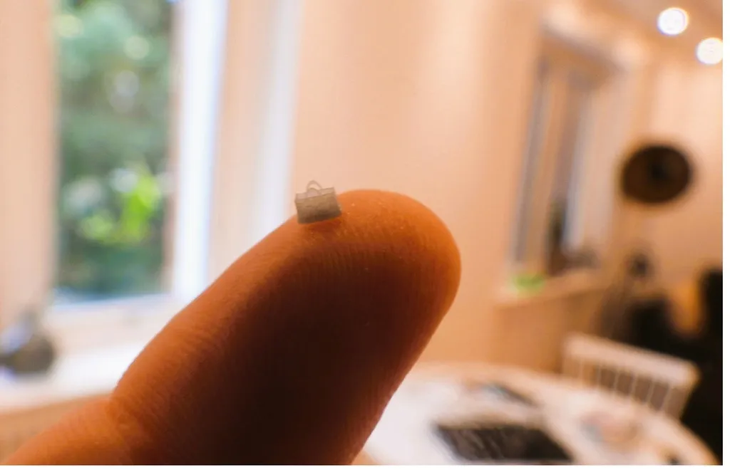 Túi Louis Vuitton in 3D cho công chúa của bạn