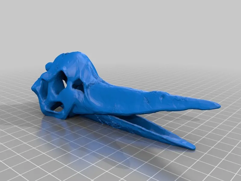Xương sọ Pteranodon chi tiết cho in 3D