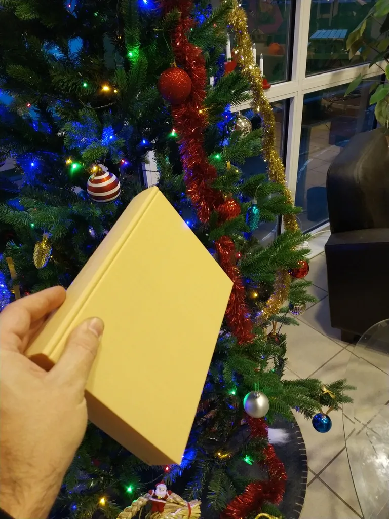 Giá sách ma thuật - Chìm đắm trong sách vở