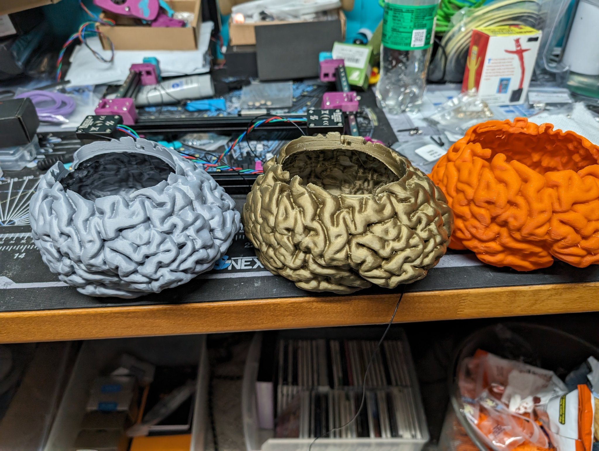 Chậu cây hoặc đĩa kẹo hình não người