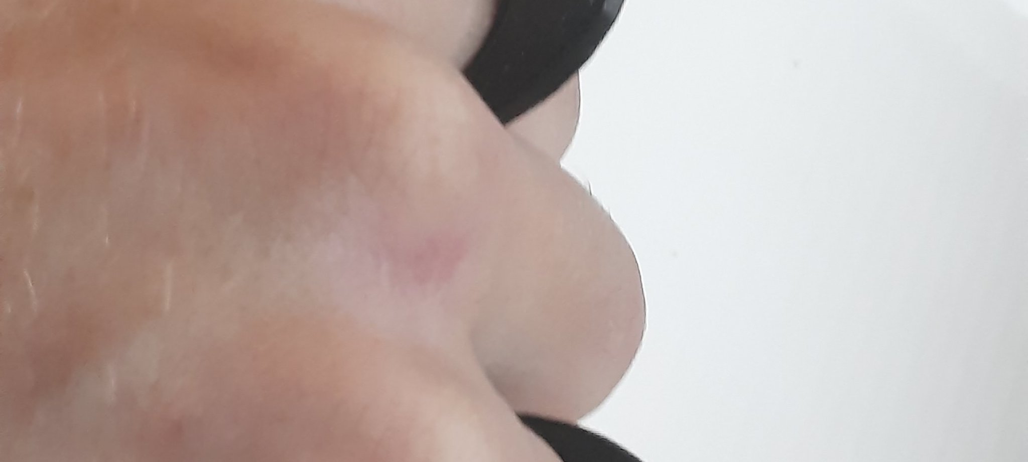 Rắn túi nhỏ - Công cụ tự vệ tiện lợi cho bạn