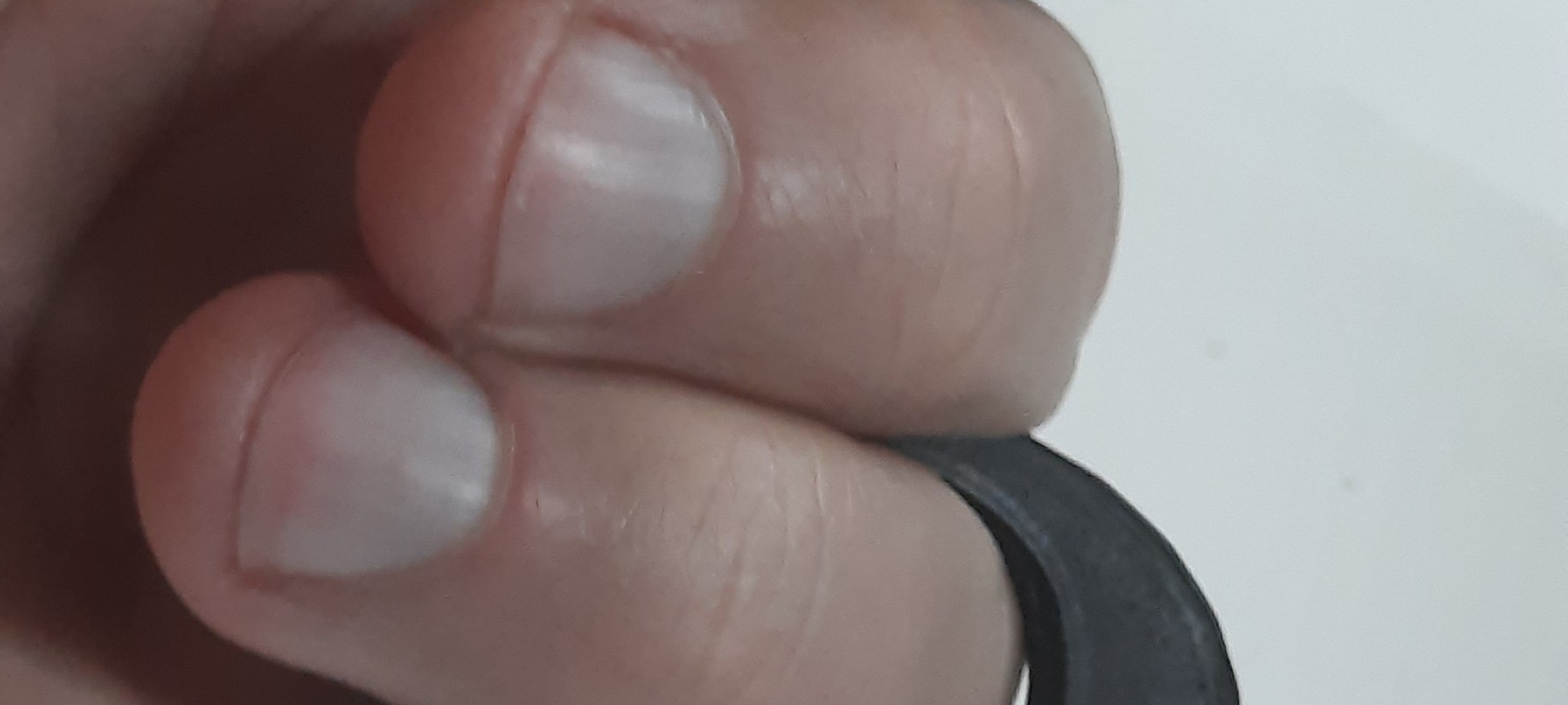 Rắn túi nhỏ - Công cụ tự vệ tiện lợi cho bạn