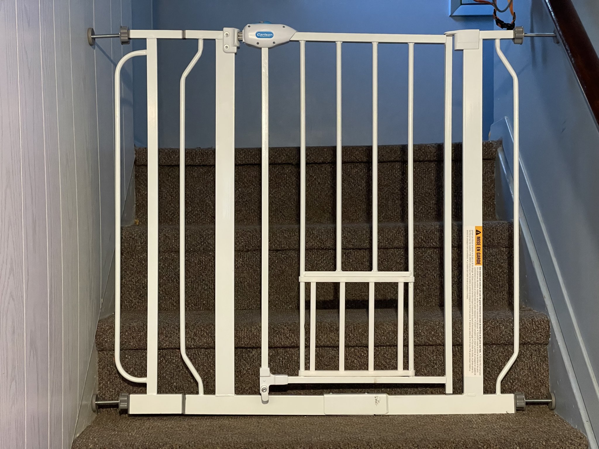 Cửa nhỏ thay thế cho cổng thú cưng Carlson