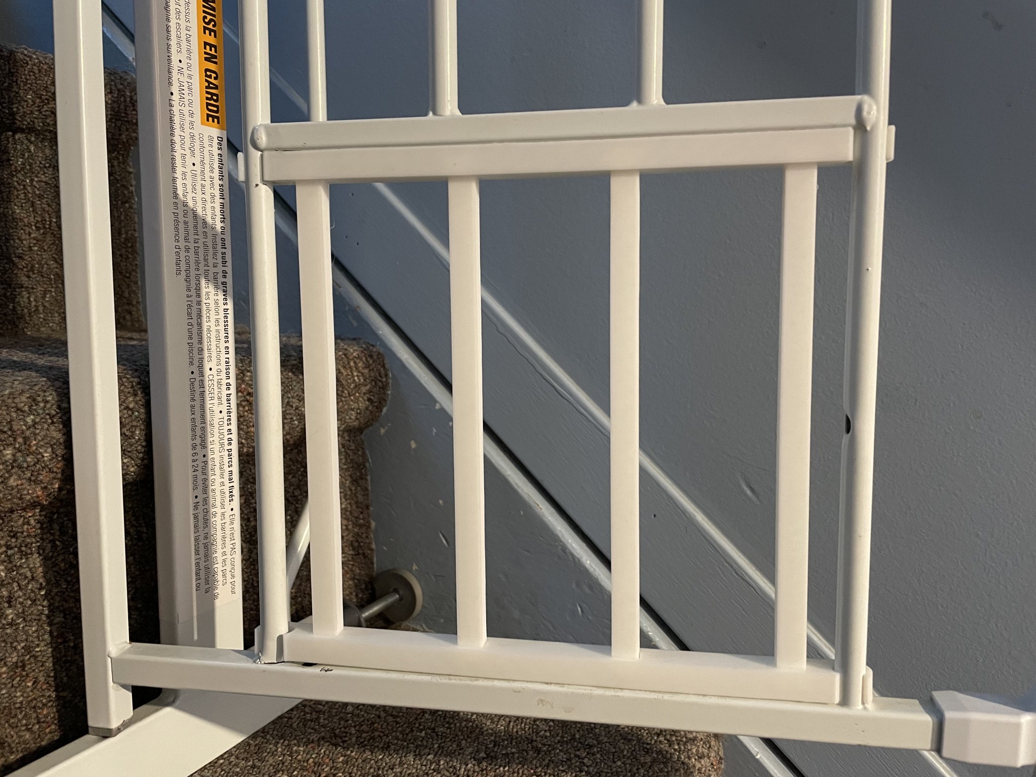 Cửa nhỏ thay thế cho cổng thú cưng Carlson