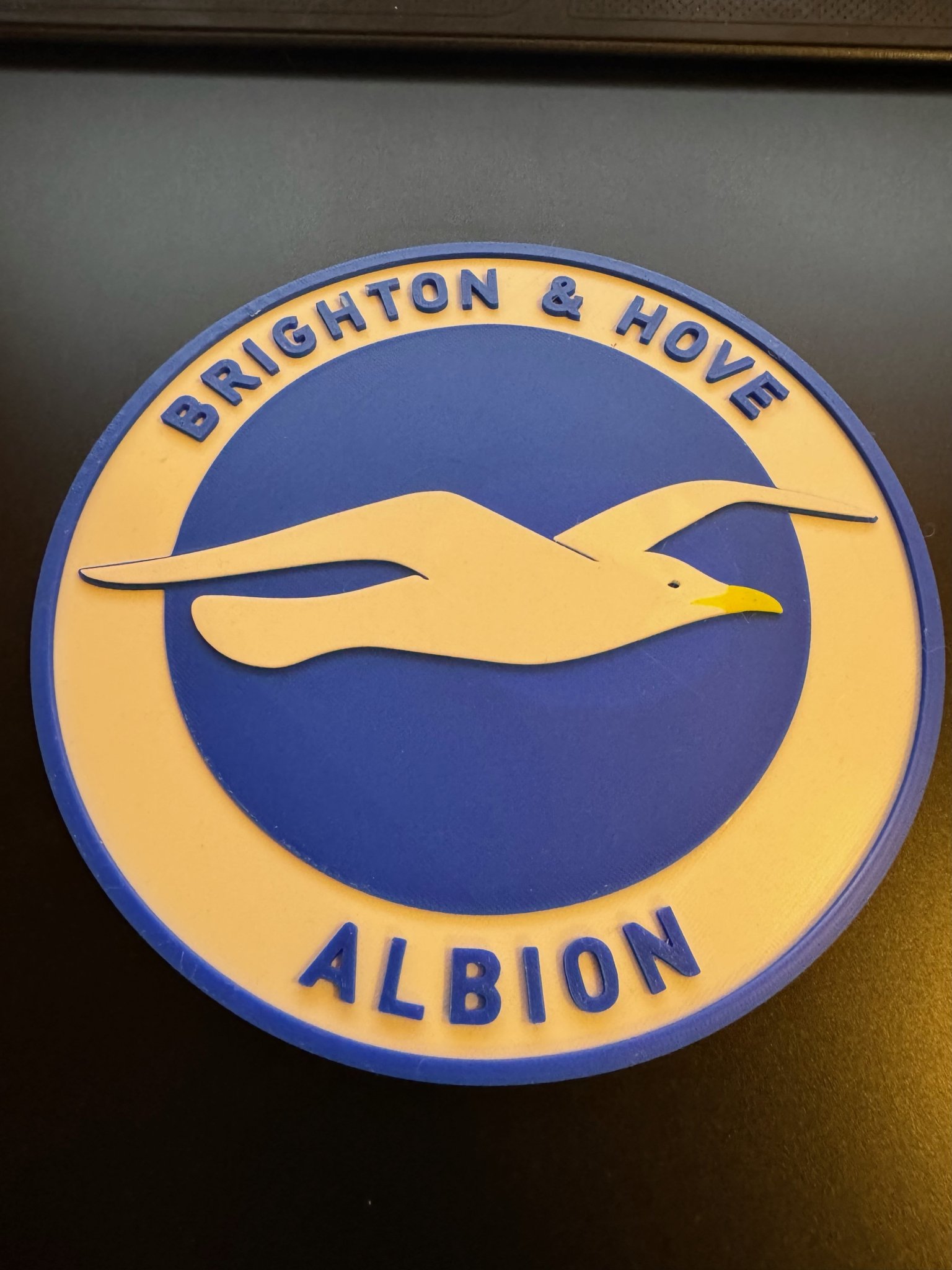 Logo Câu lạc bộ Brighton and Hove Albion