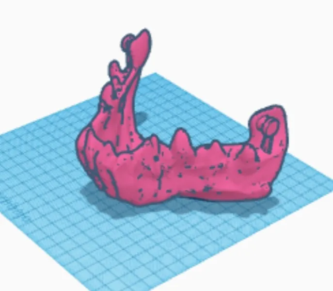 Mặt nạ Mascara Khớp Hàm Kinh Dị