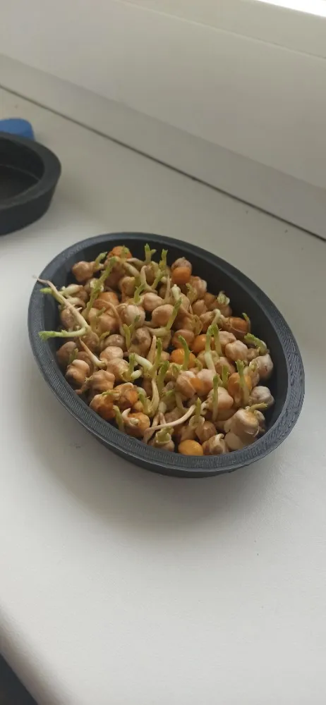 Tiêu đề Bát Tóm tắt Một chiếc bát đơn giản nhưng có nhiề