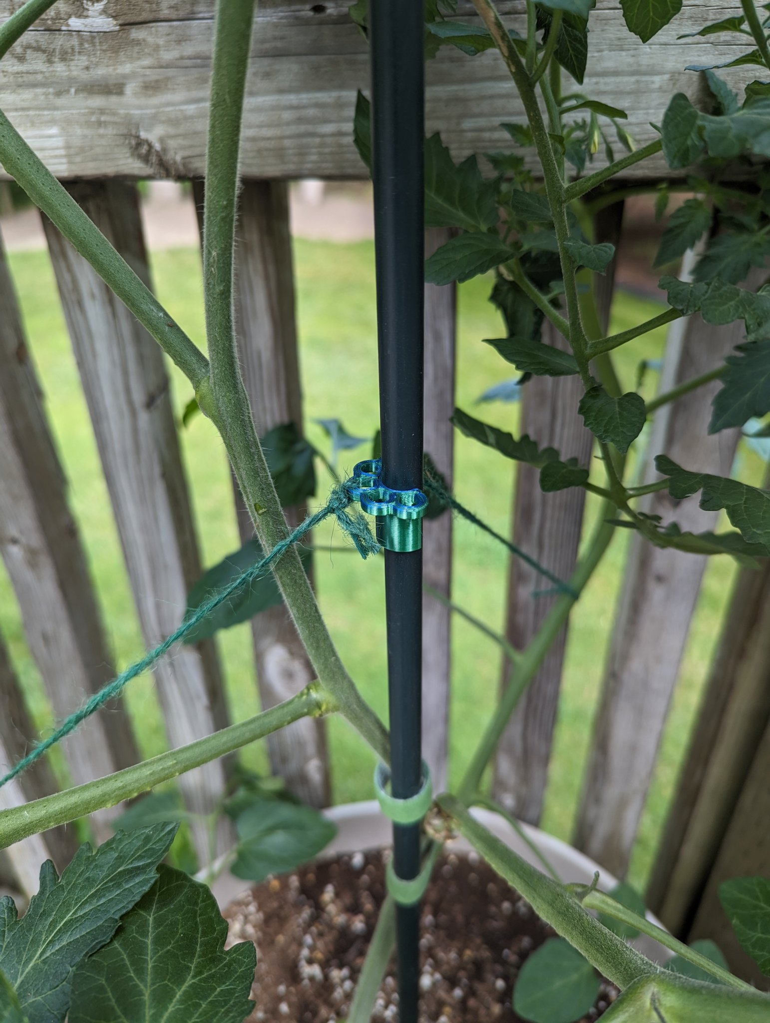 Tiêu đề Mũ và Kẹp Cọc Cây Tóm tắt Mũ và kẹp gắn vào cọ