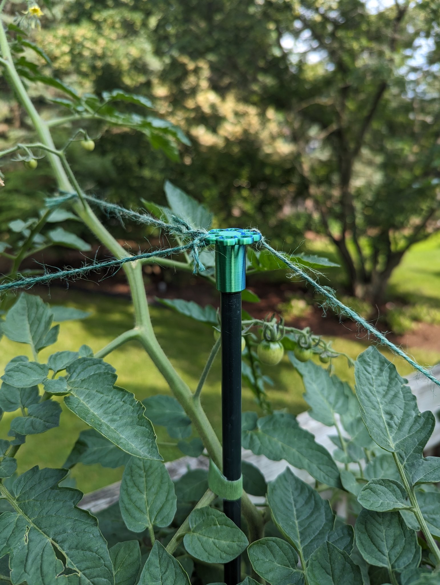 Tiêu đề Mũ và Kẹp Cọc Cây Tóm tắt Mũ và kẹp gắn vào cọ