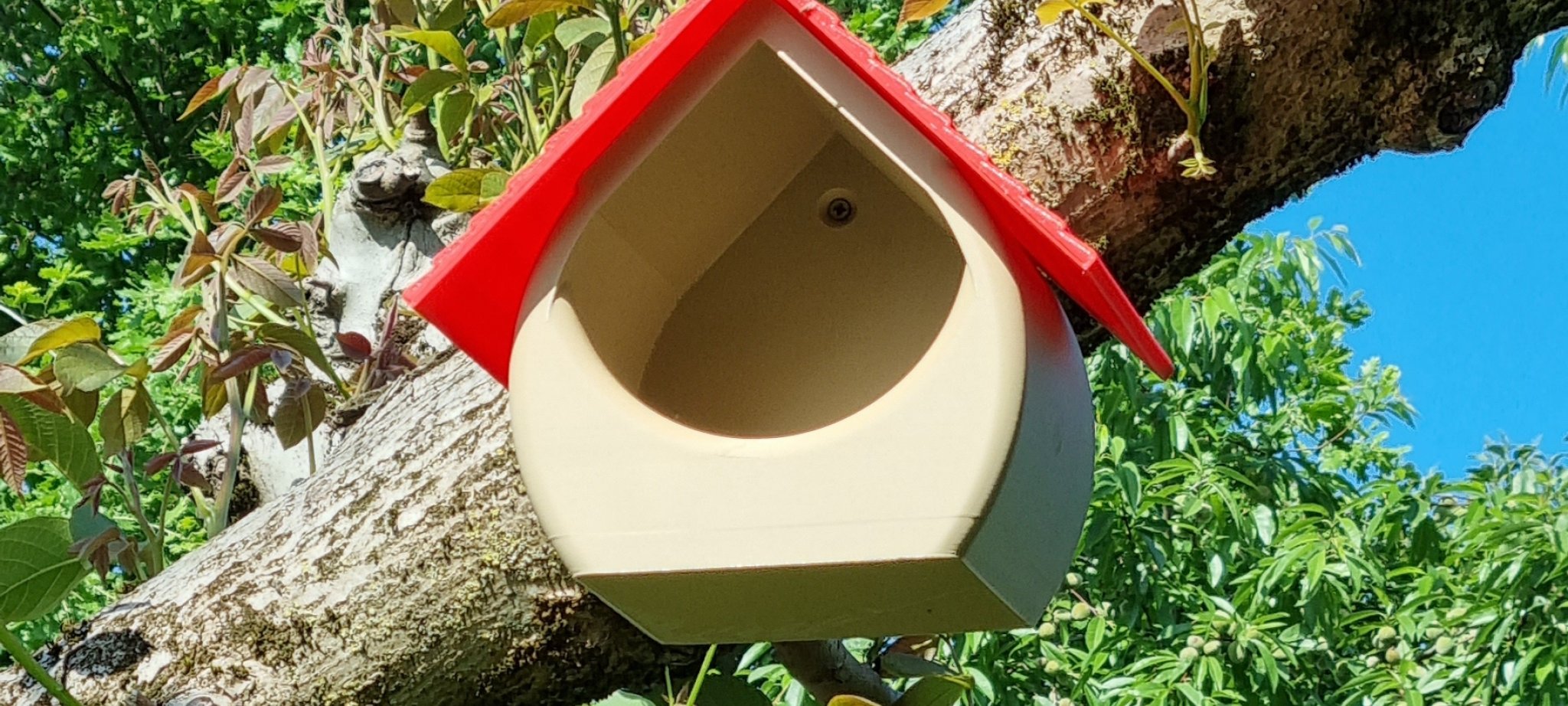 Tiêu đề Hẻm núi Nichoir à rouge Tóm tắt Nichoir à rouge gorge en