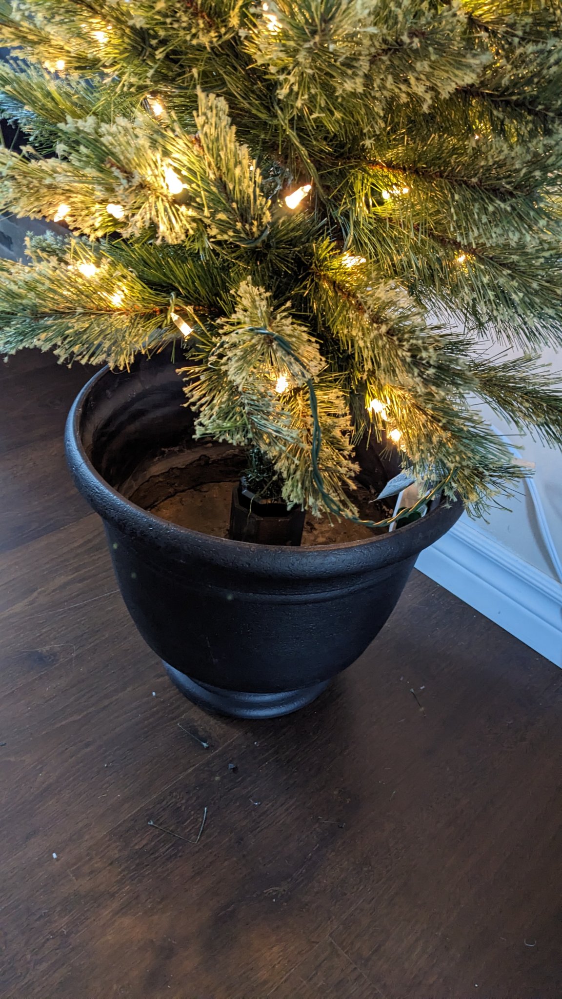 Bộ Chuyển Đổi Cây Thông Noel Walmart Vô Thùng